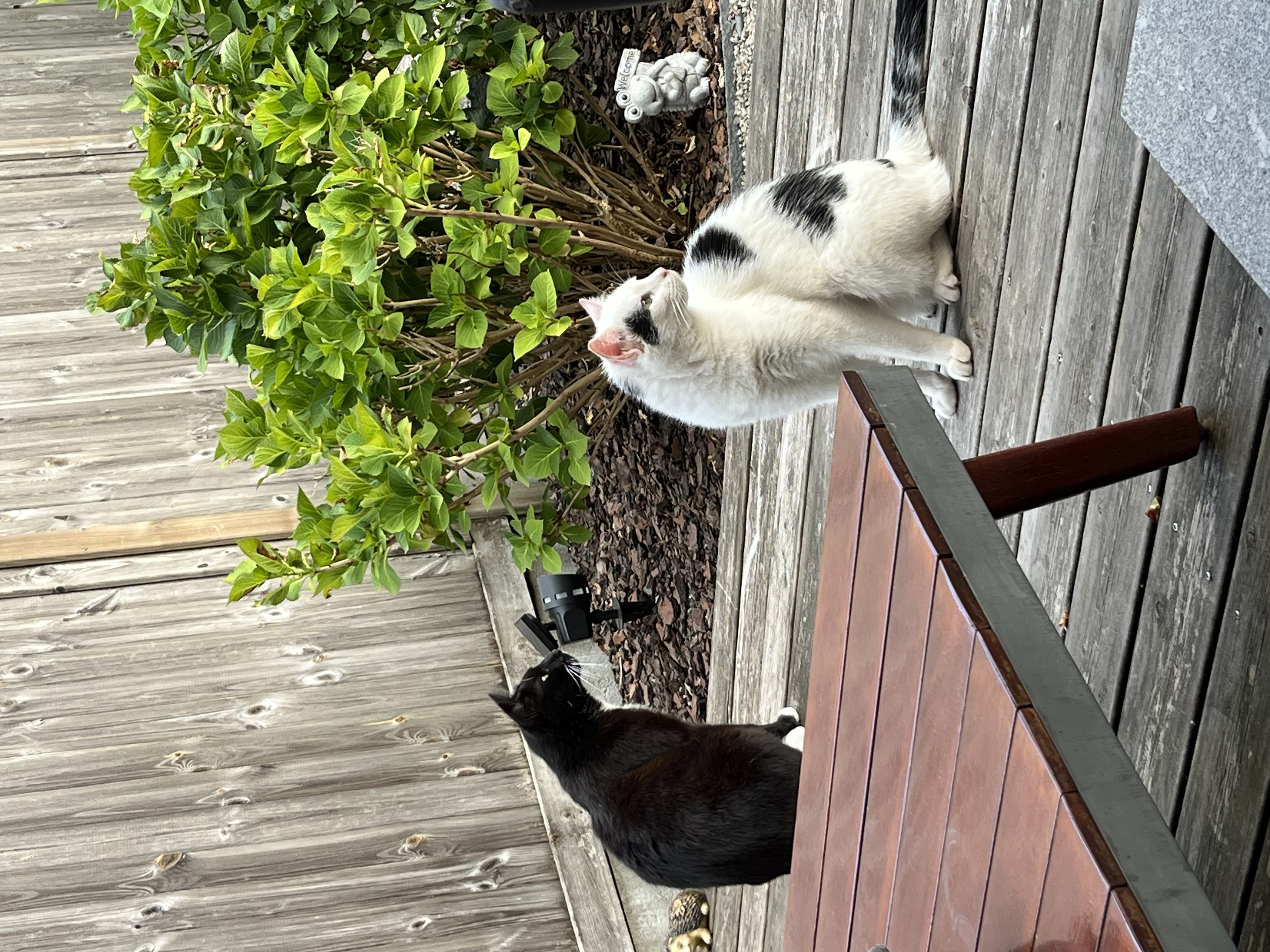 image-5