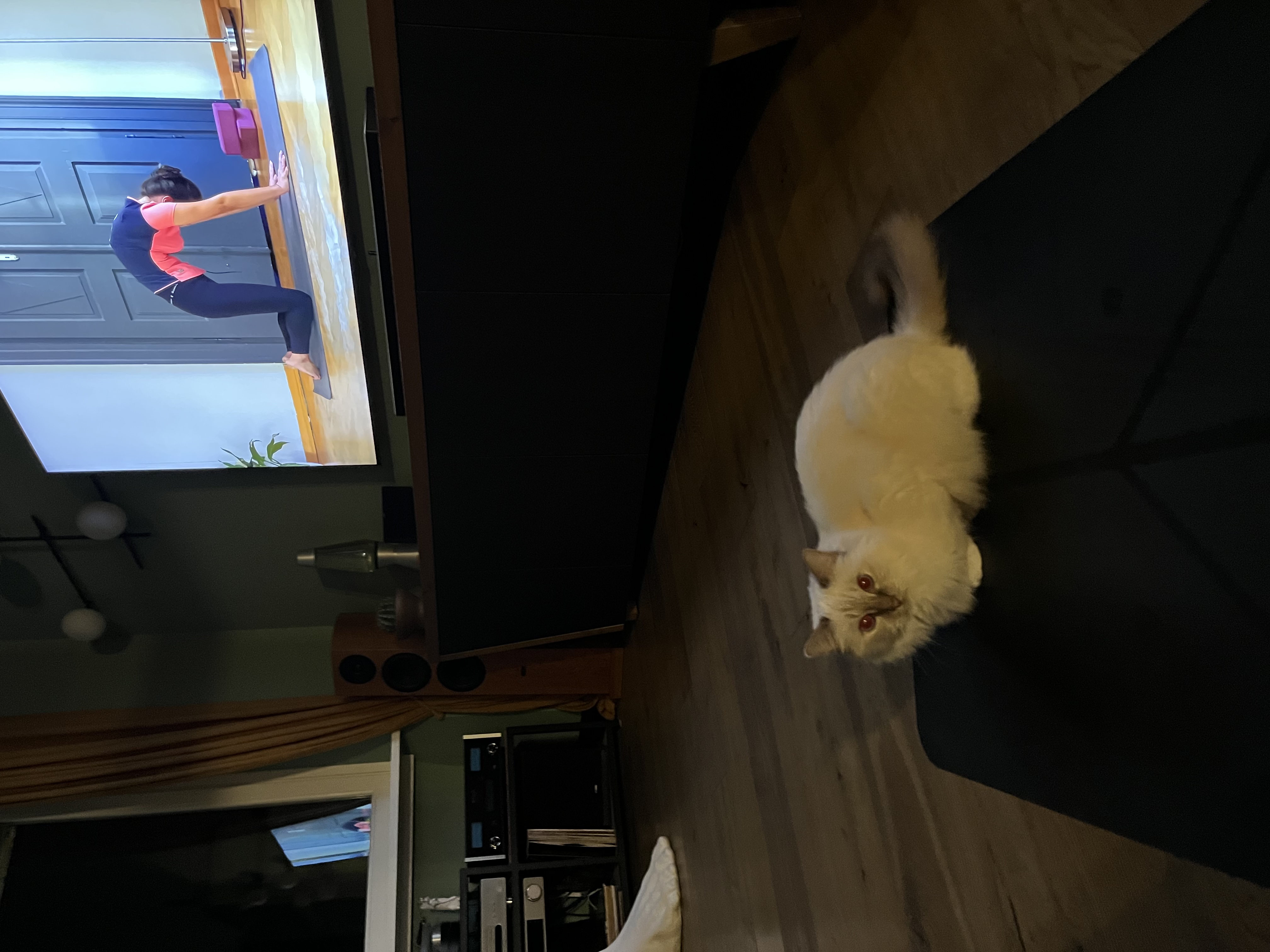 image-7