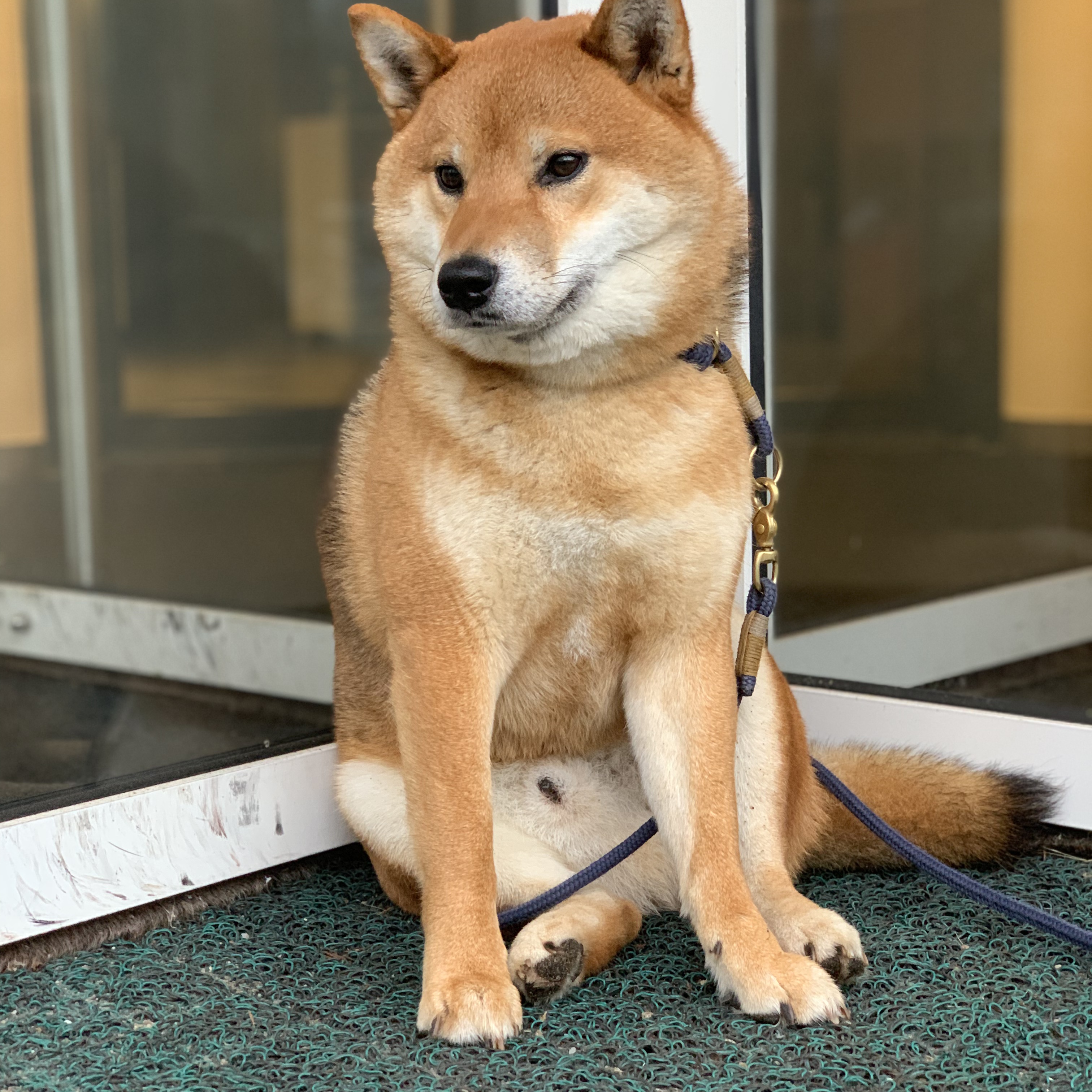 Nori