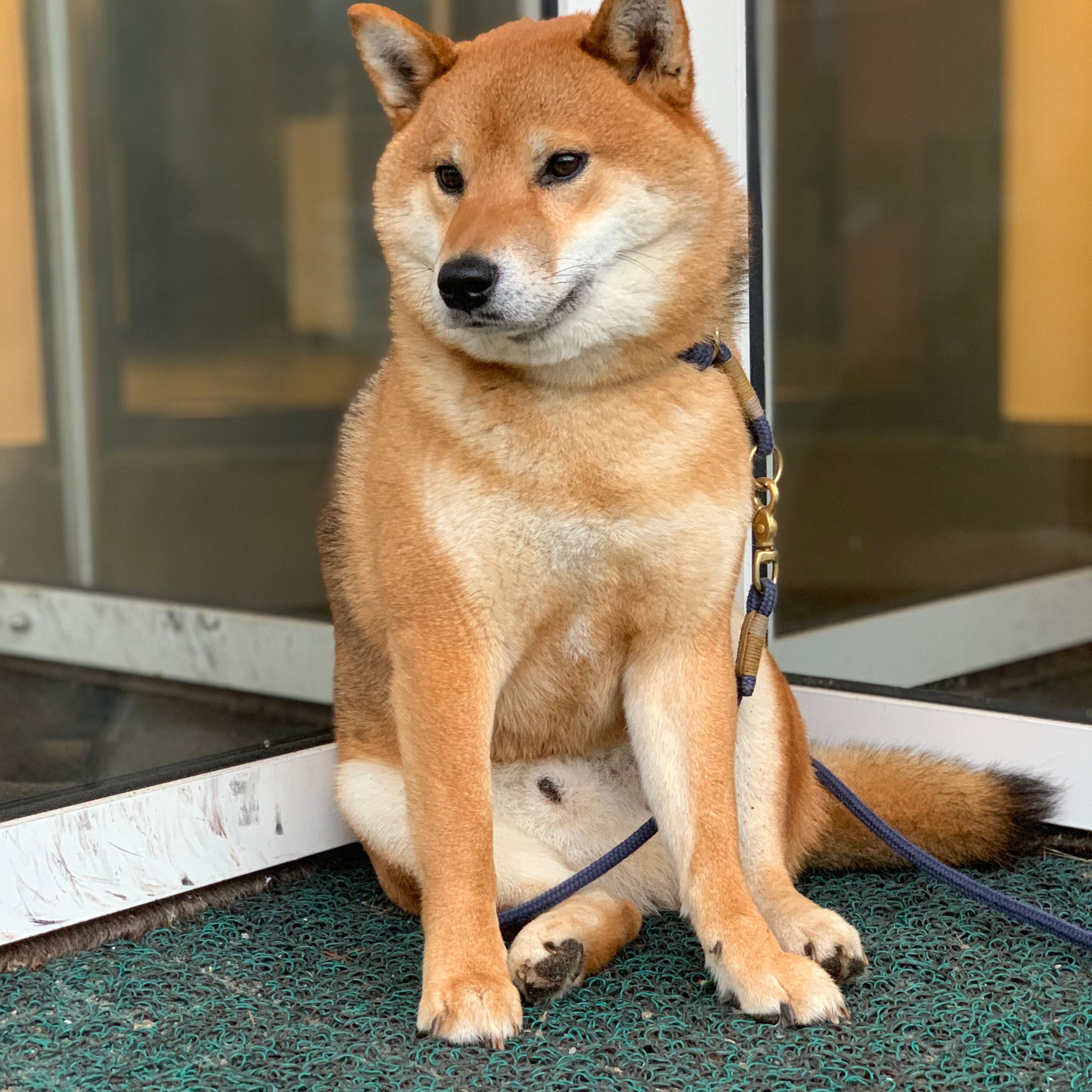 Nori