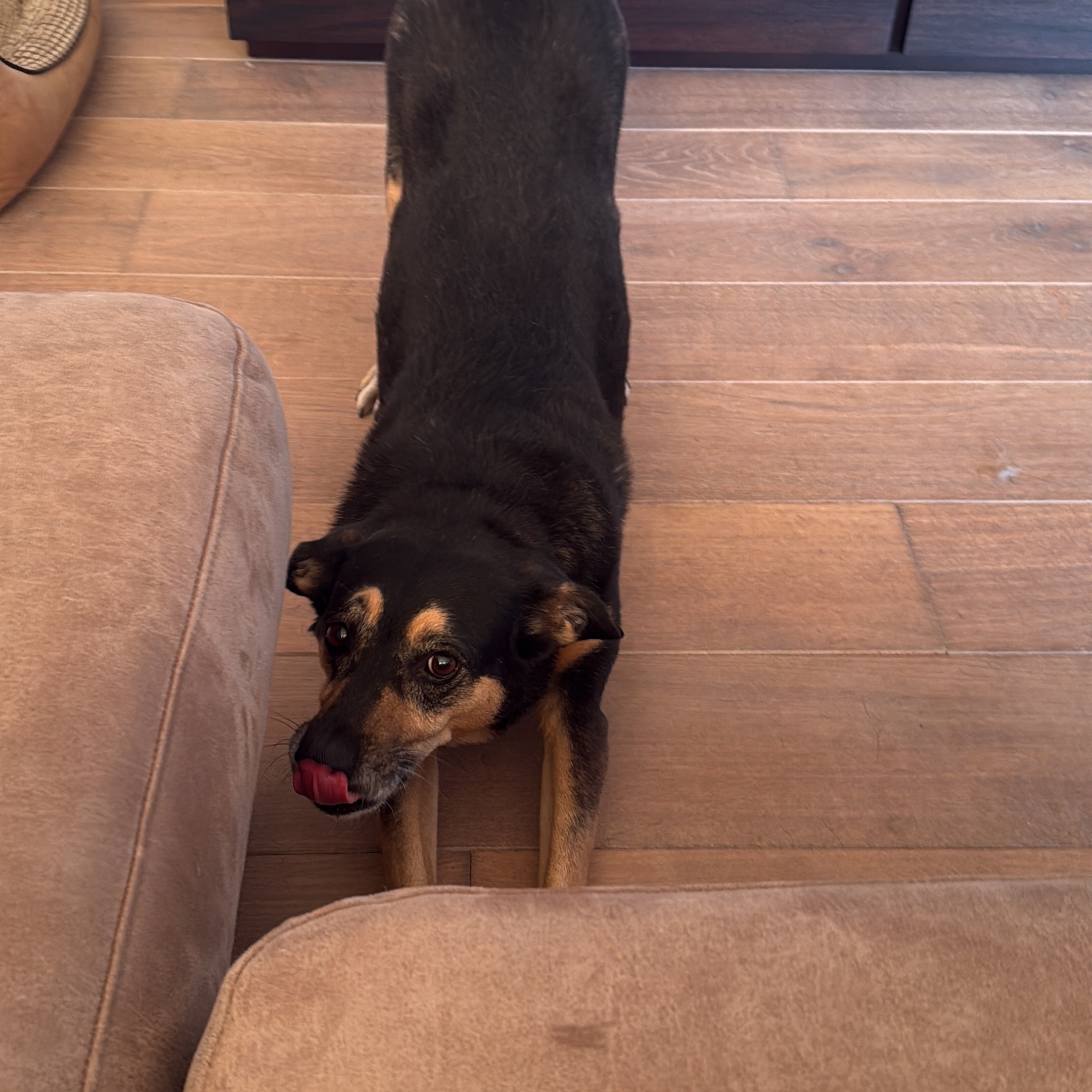 Zira 