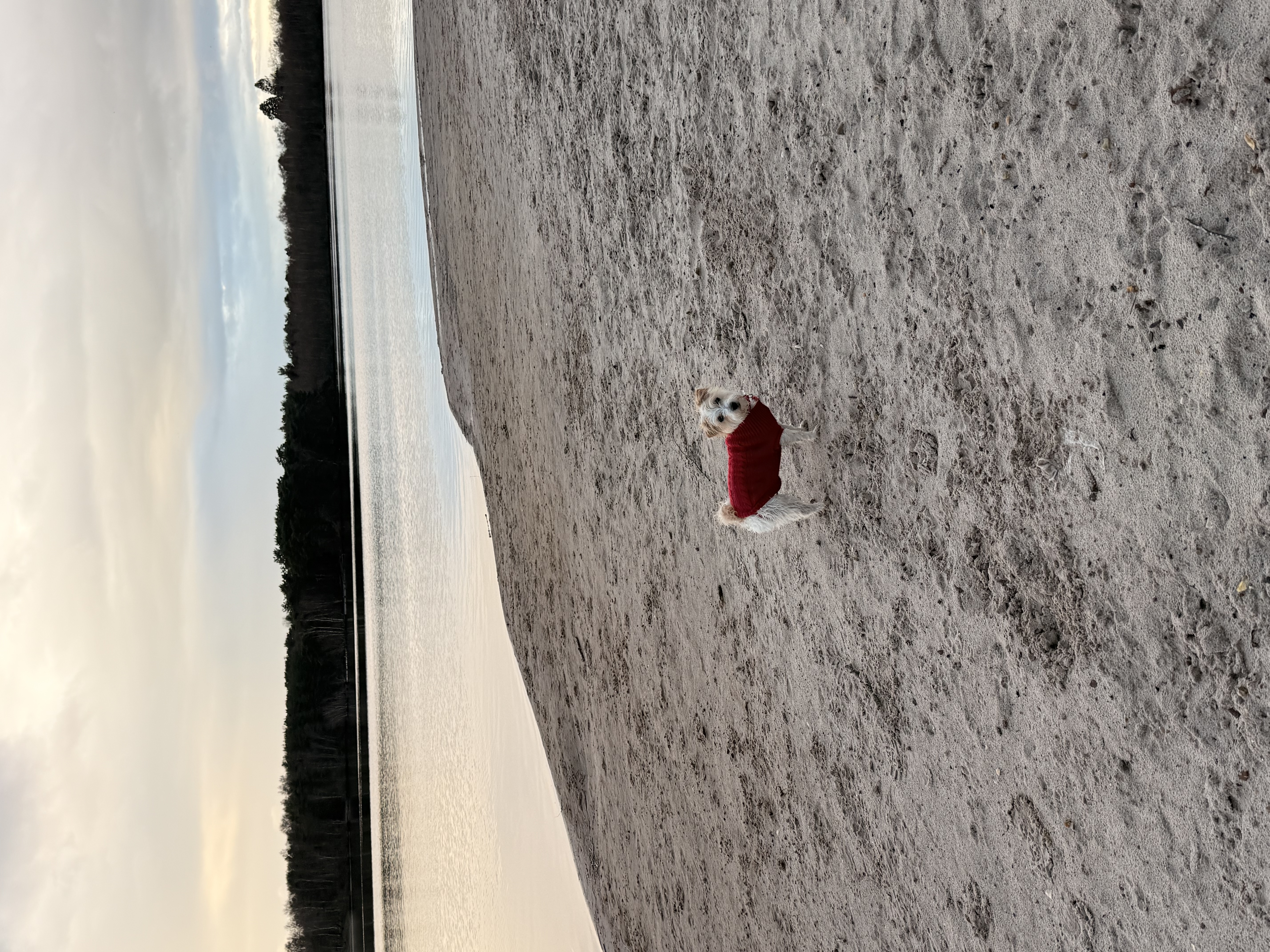 image-18