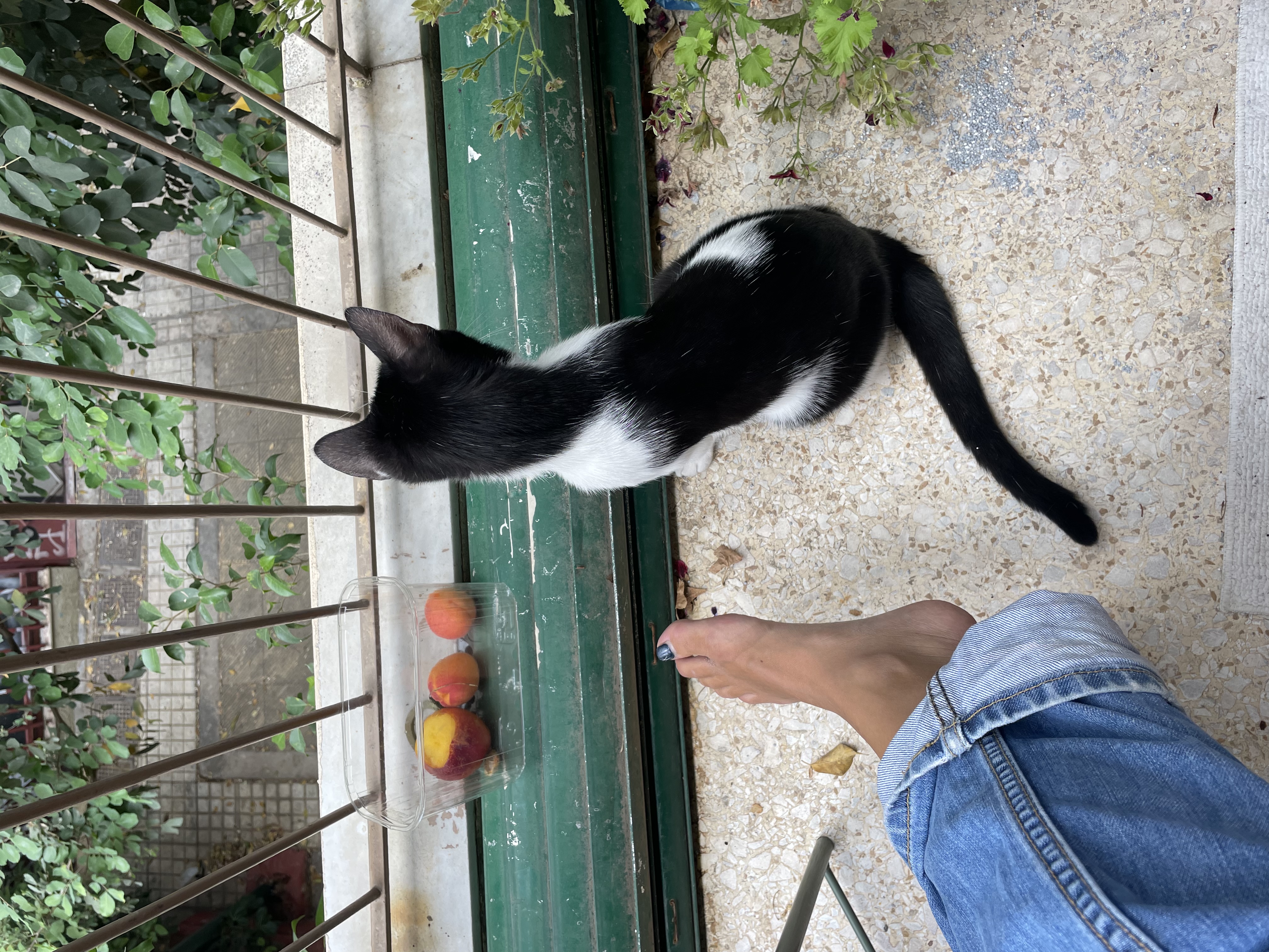 image-7