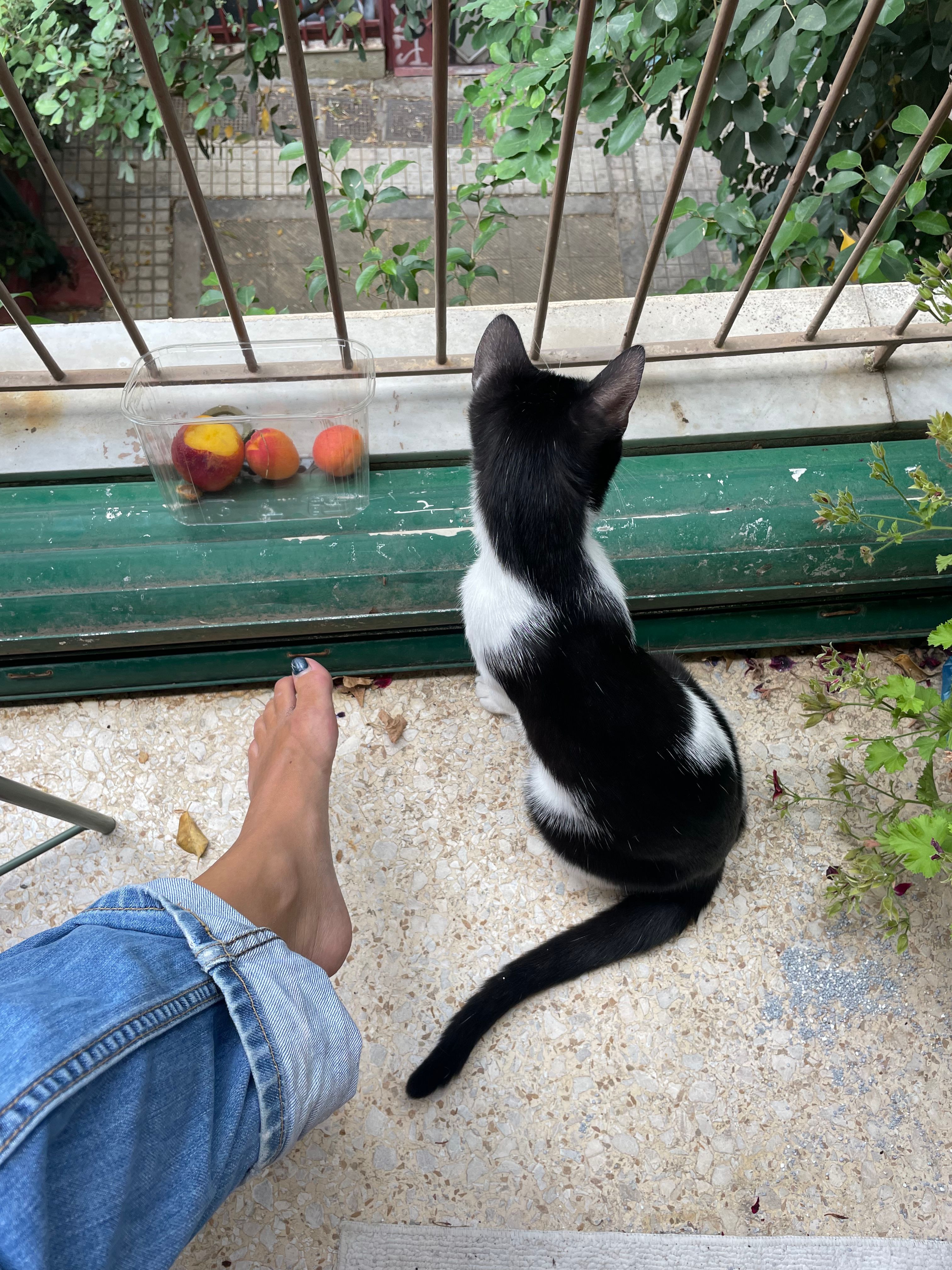 image-7