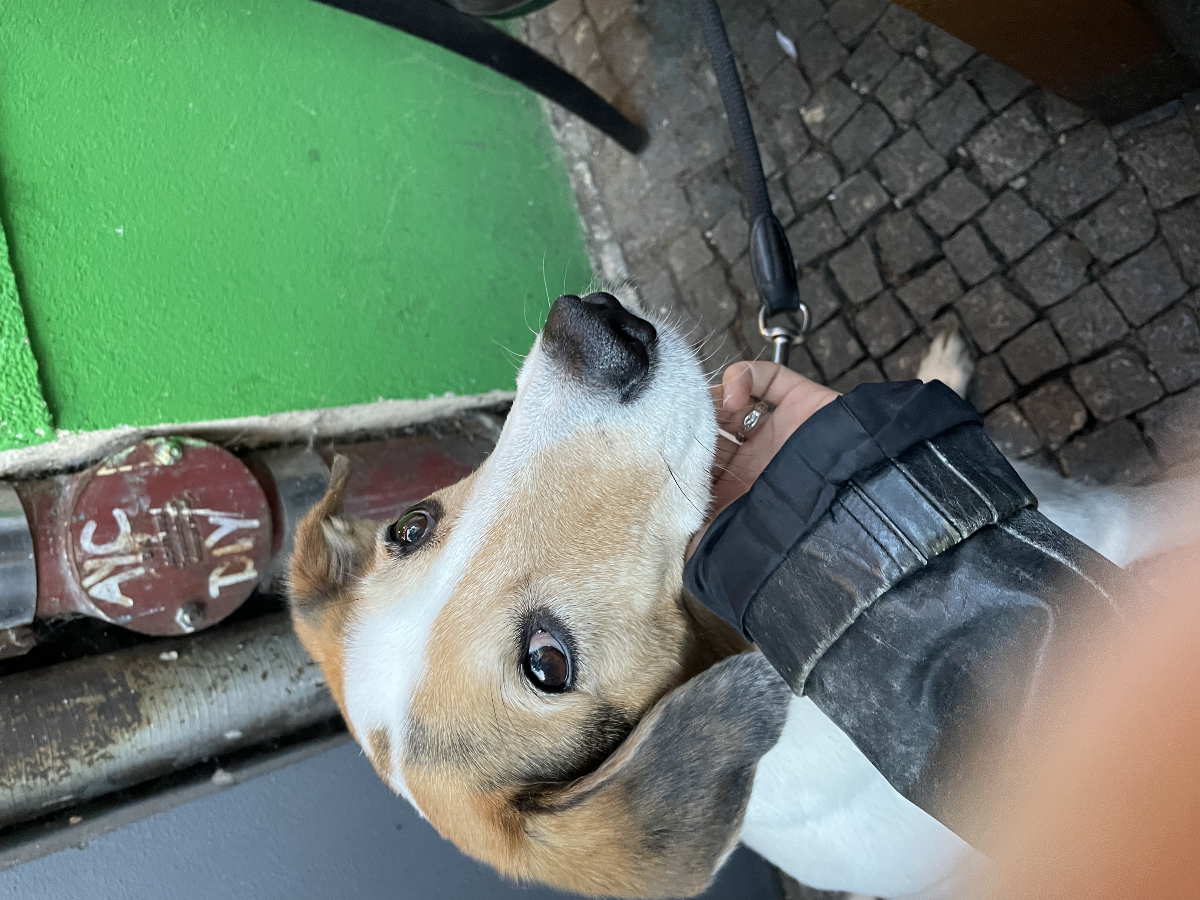 image-6