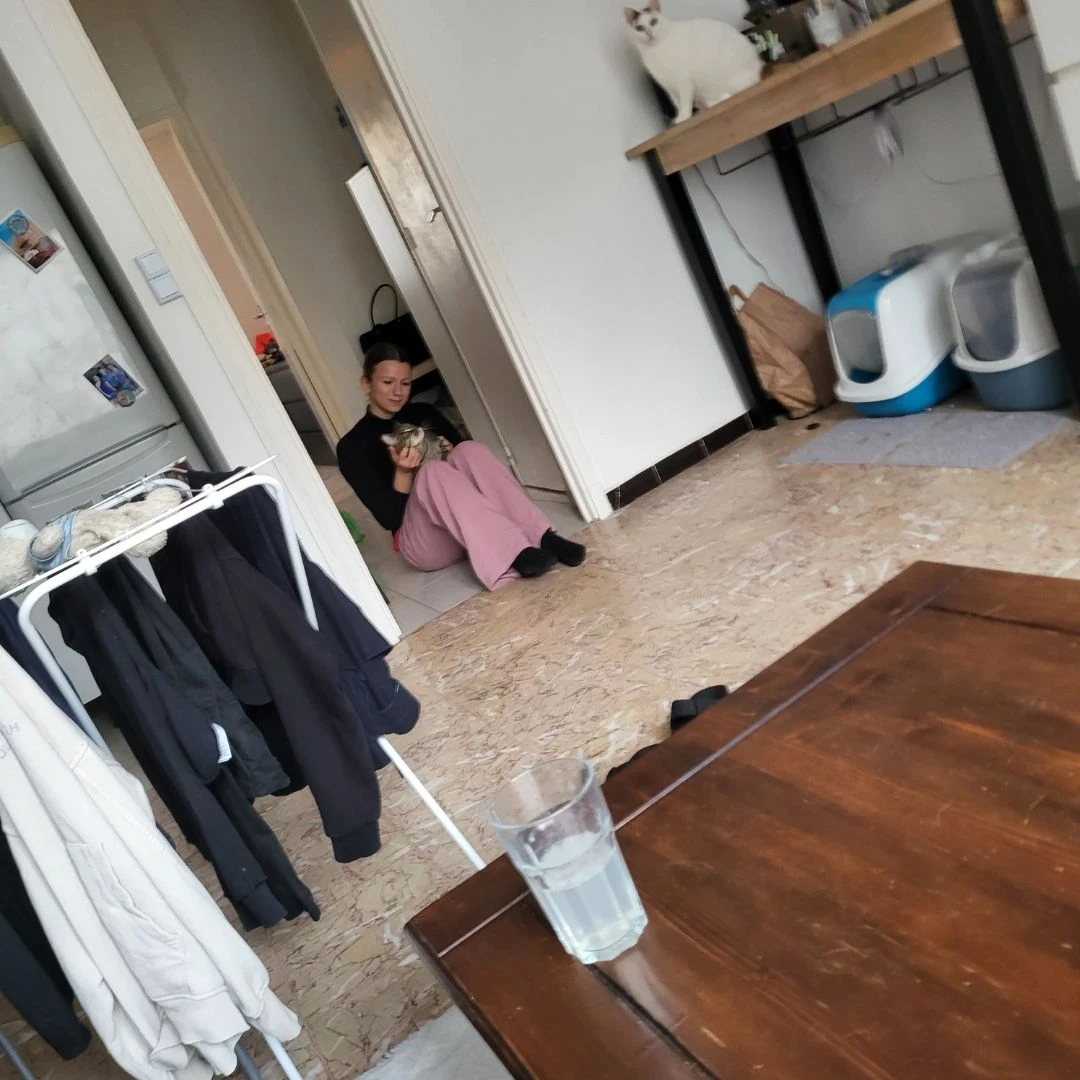 image-8