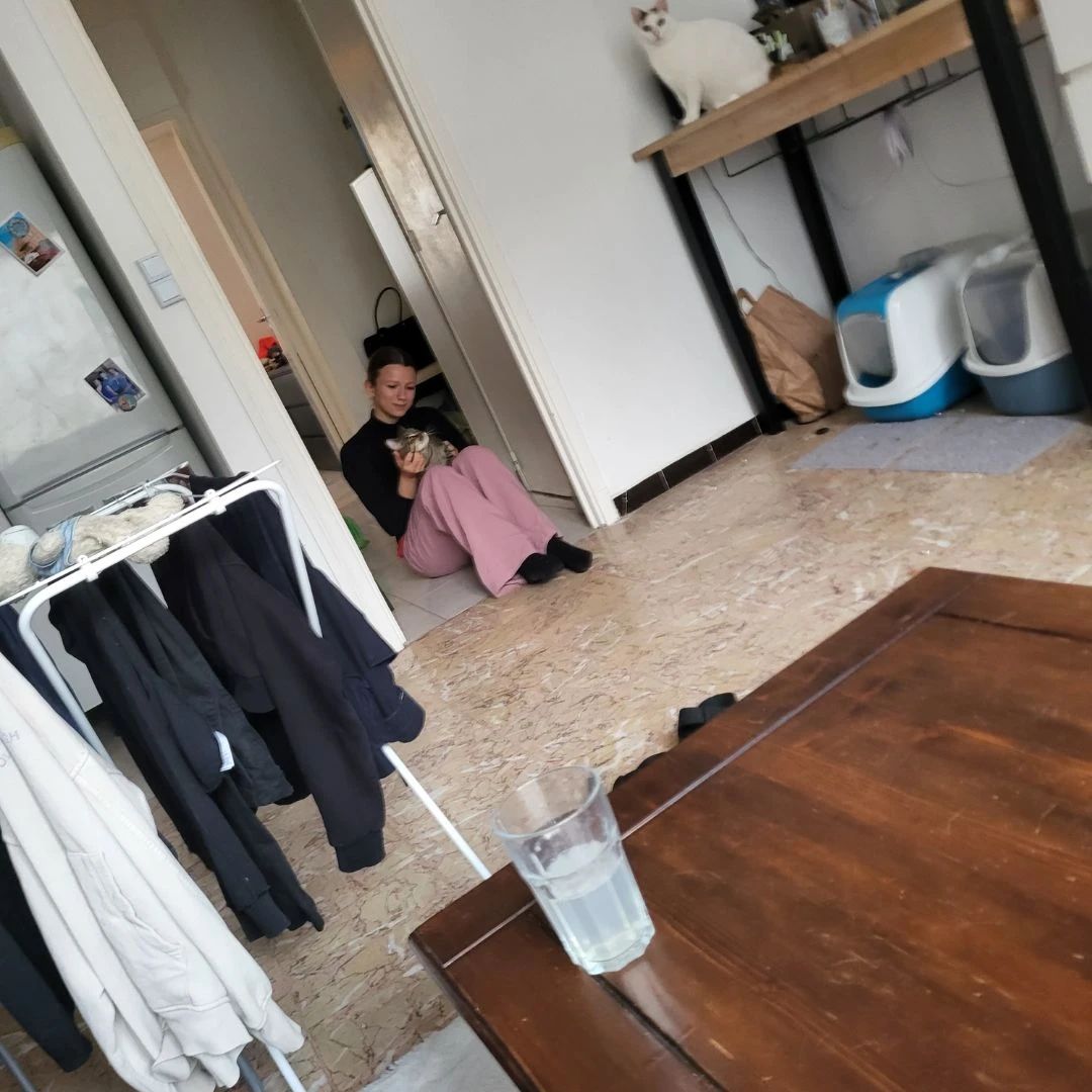 image-8