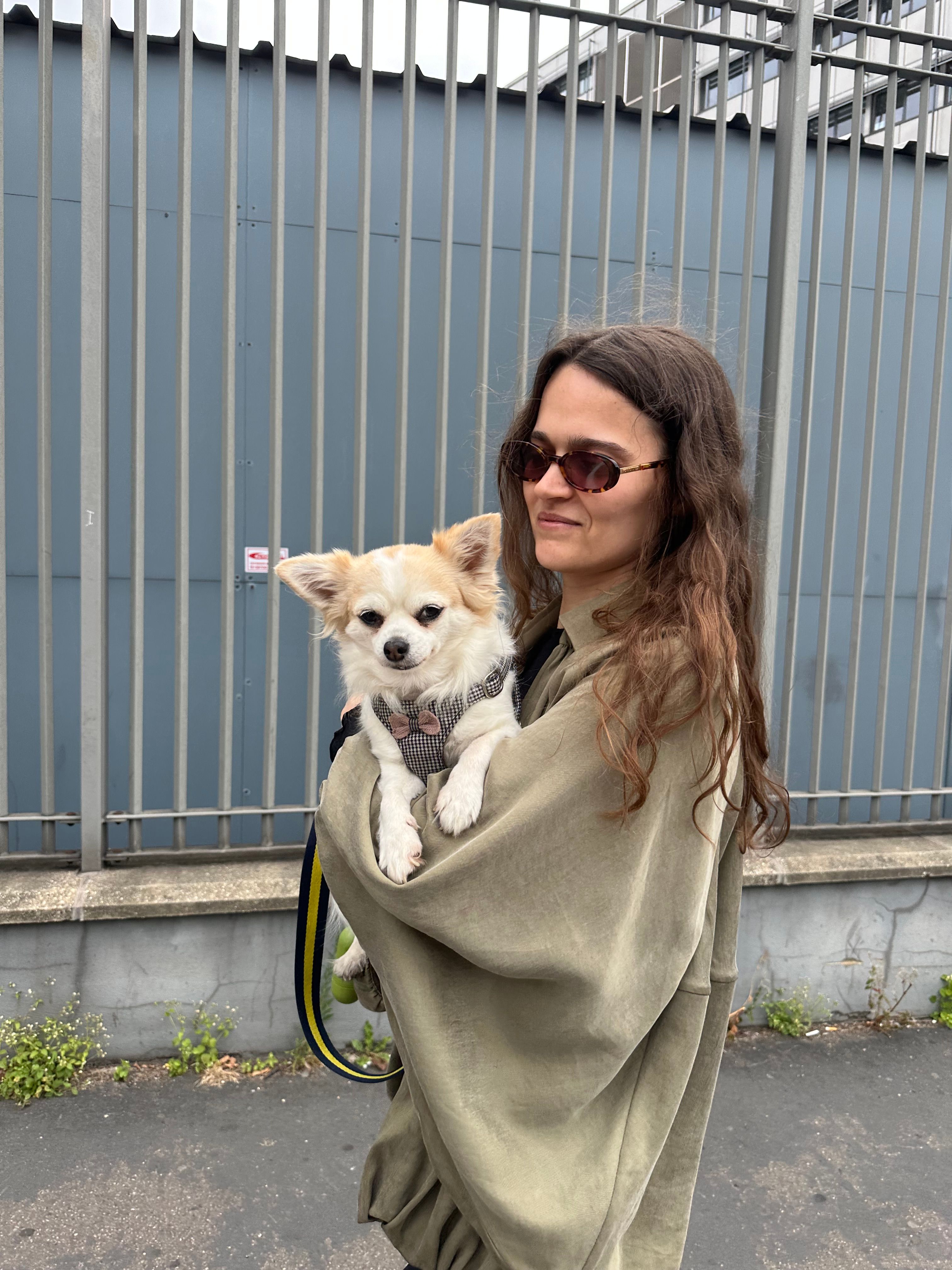 image-6