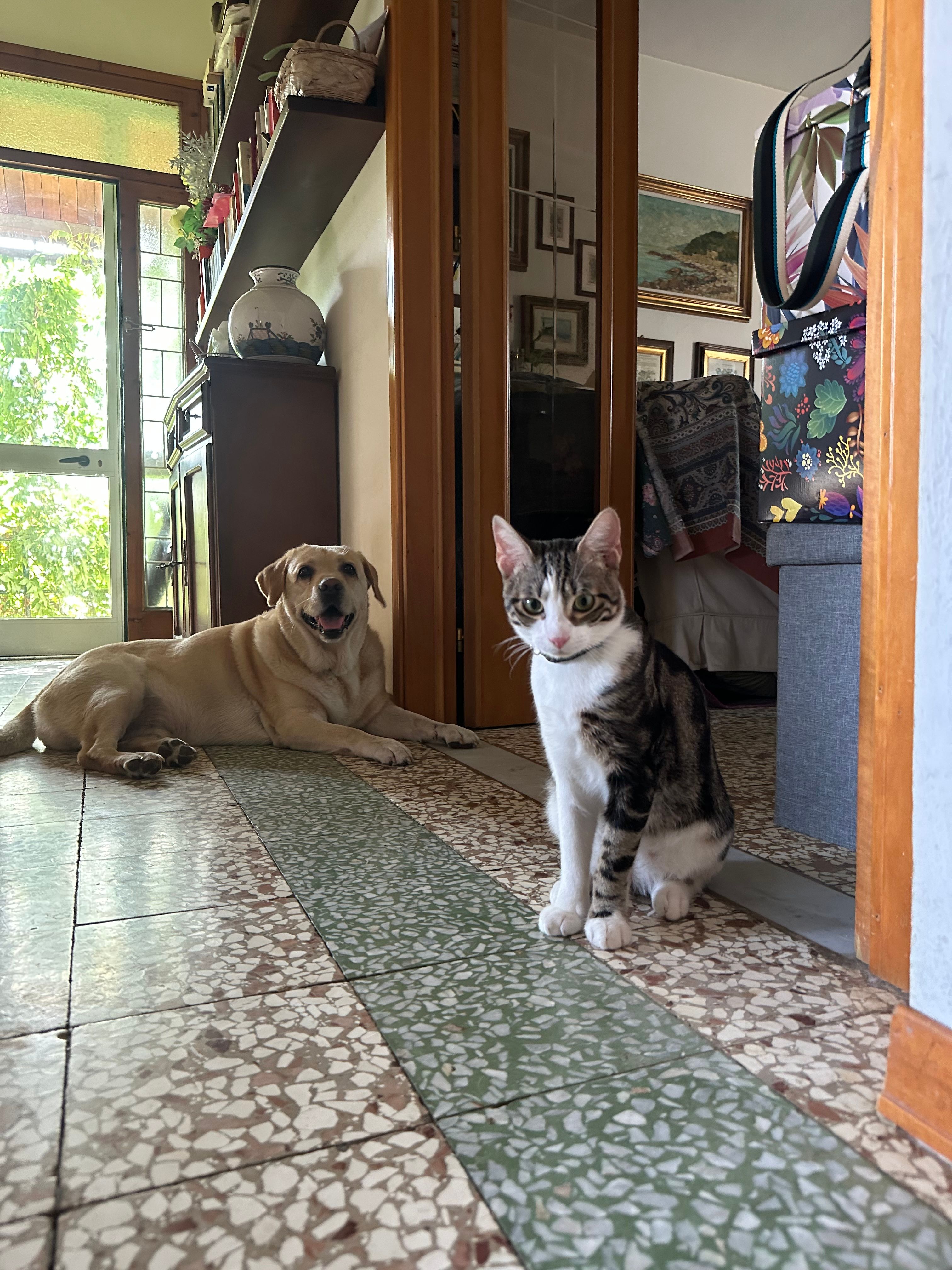 image-7