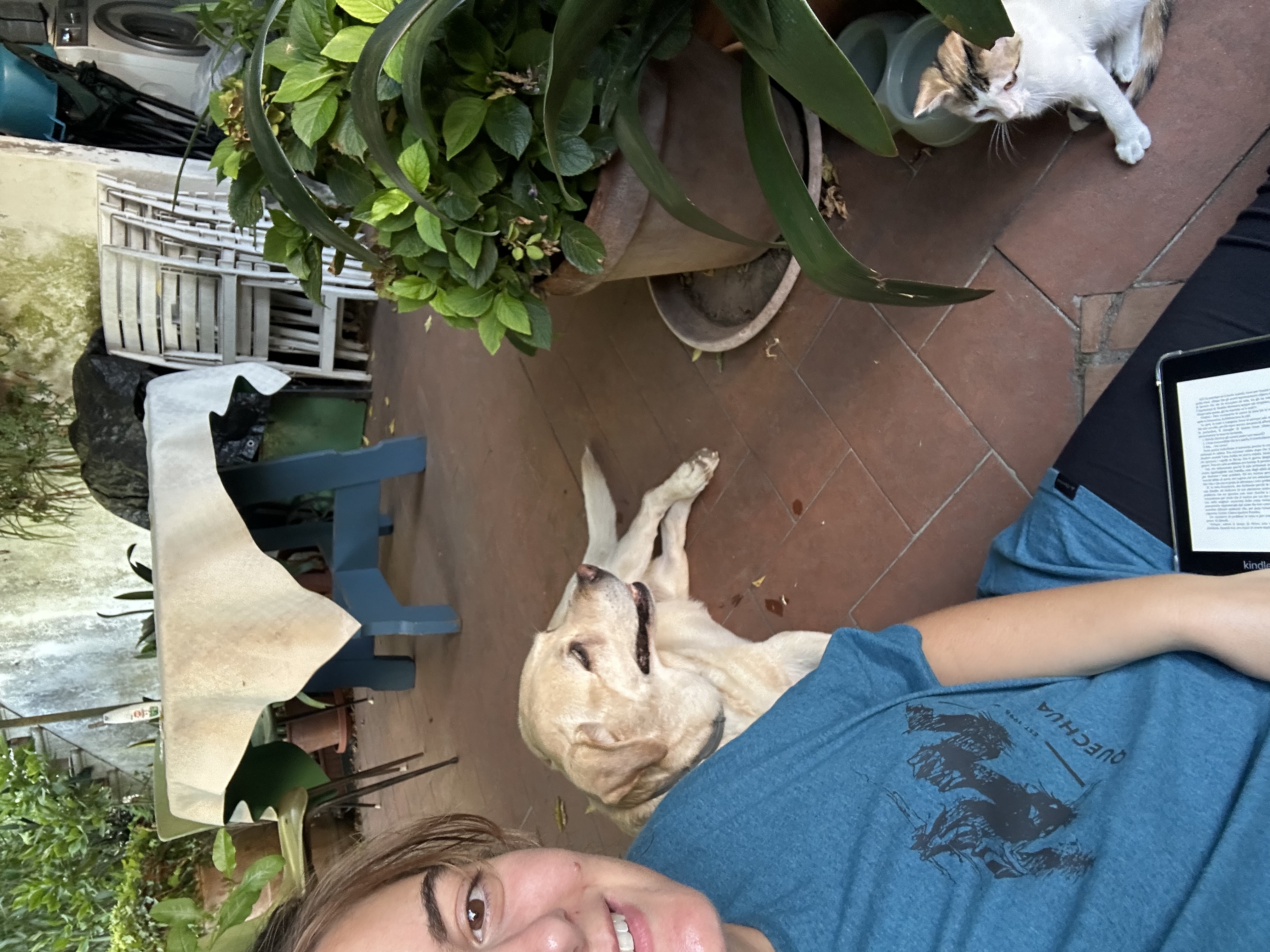 image-13