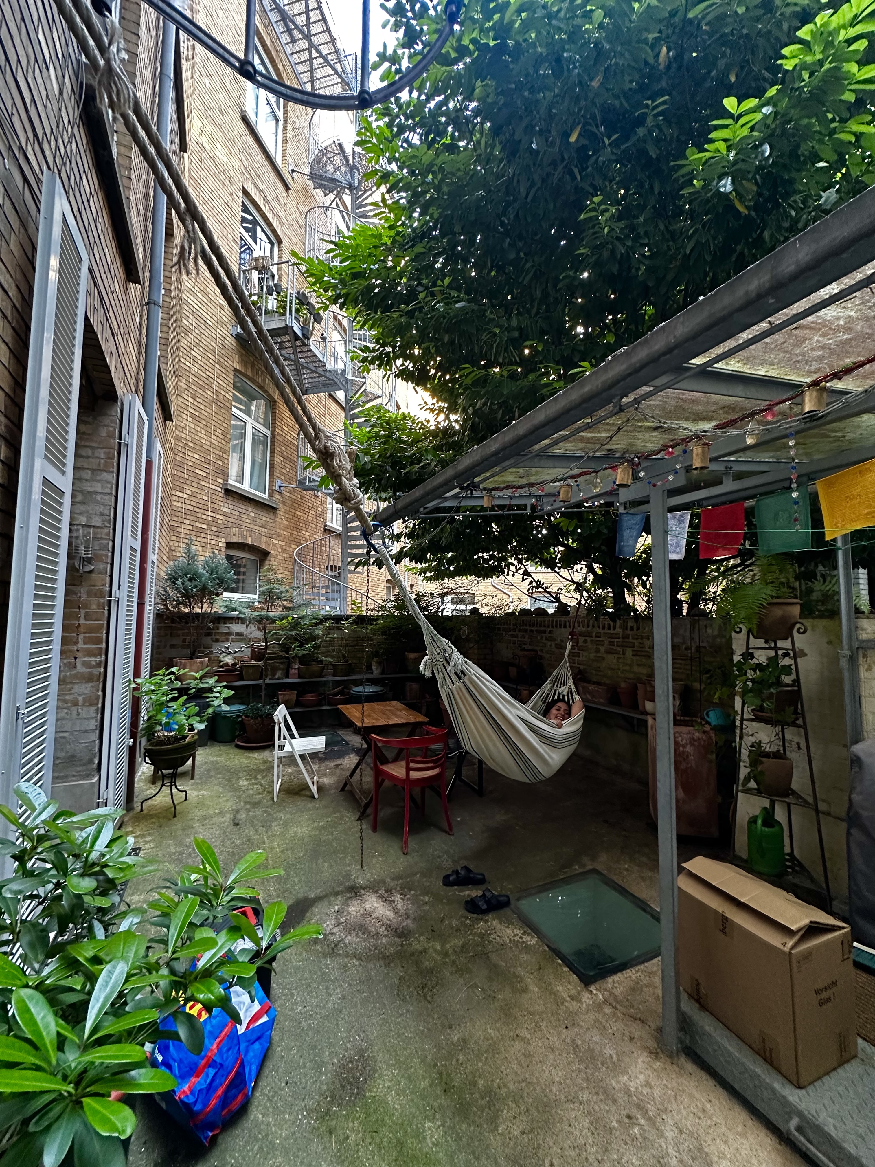 image-9