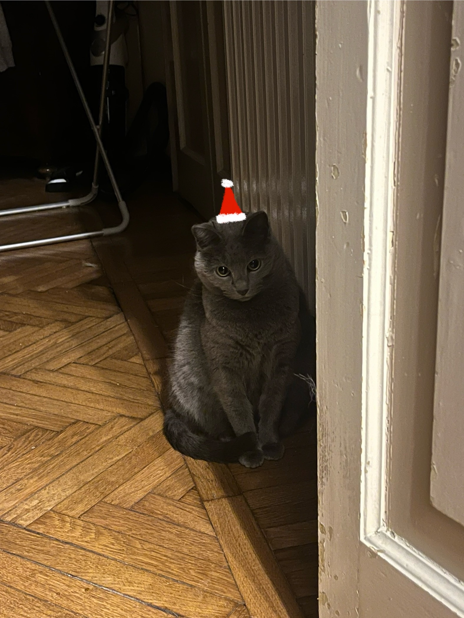 image-17