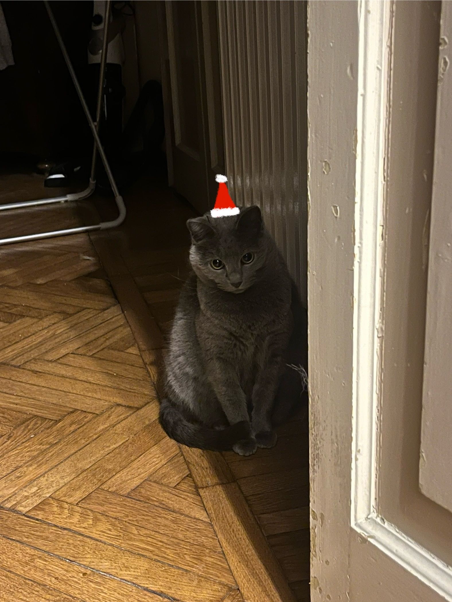 image-17