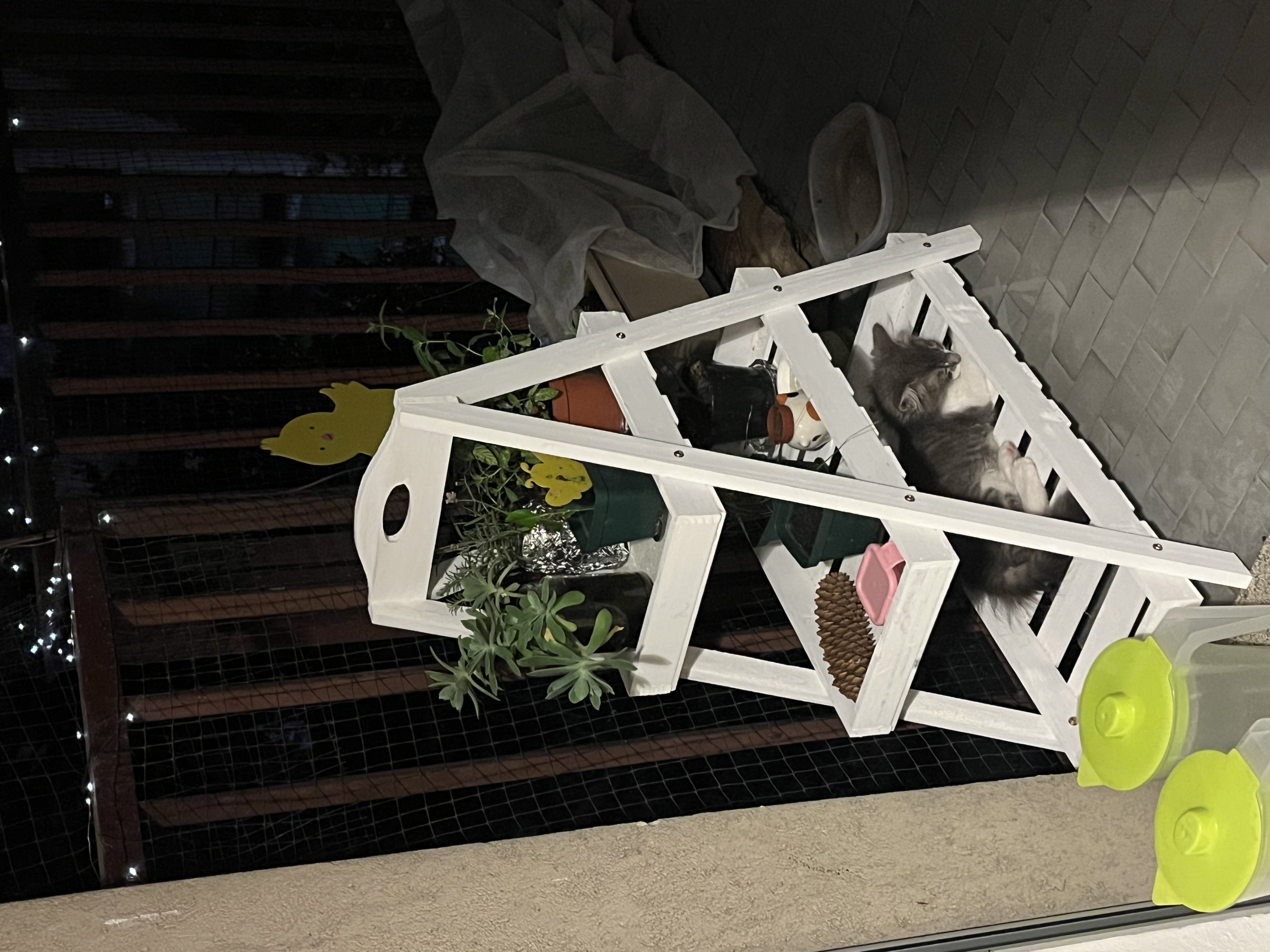 image-13