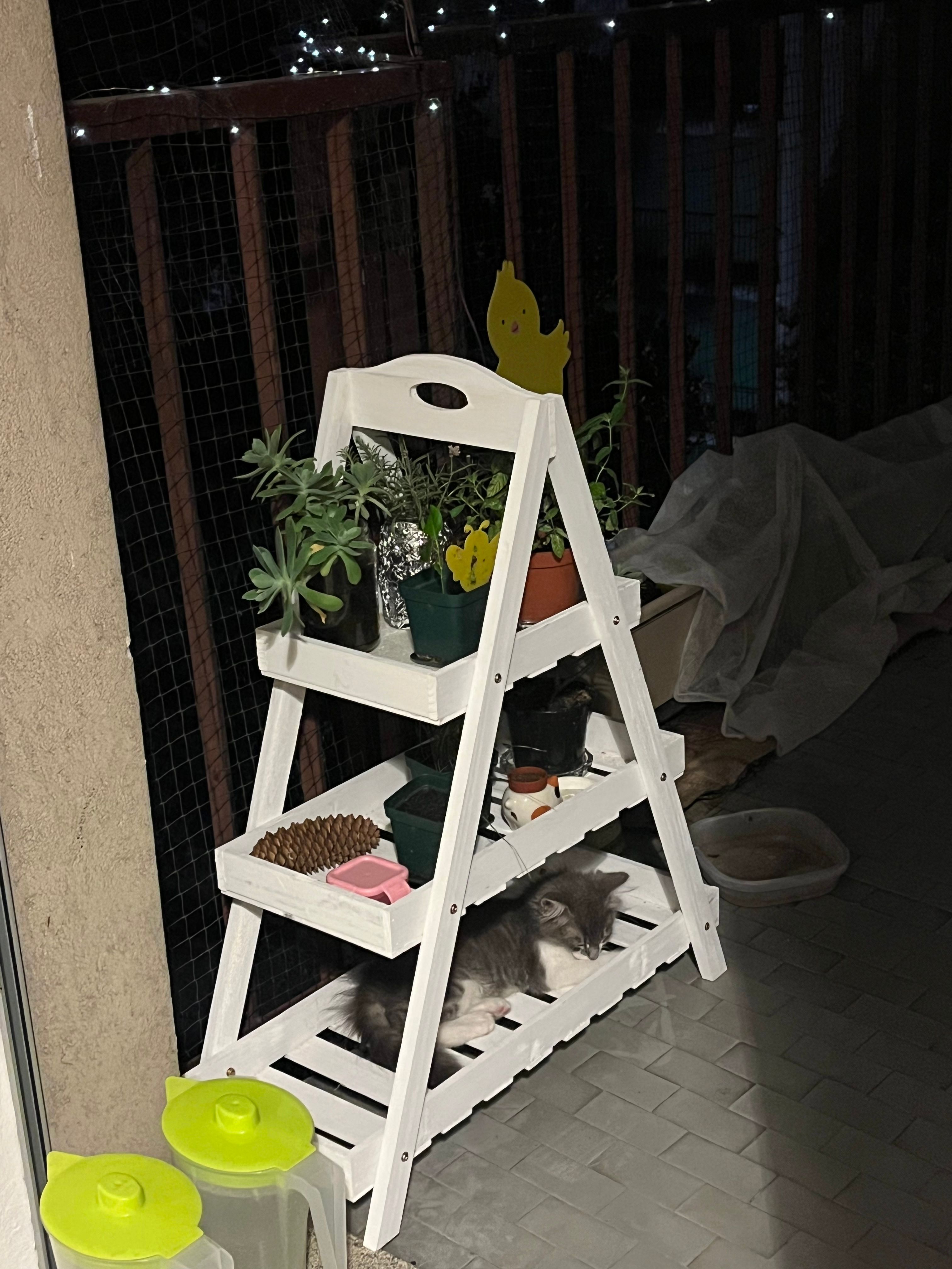 image-13