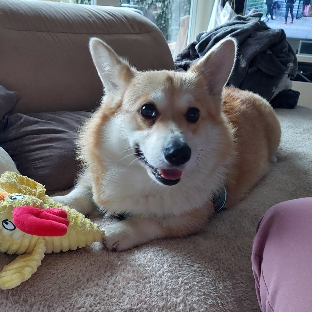 Woody