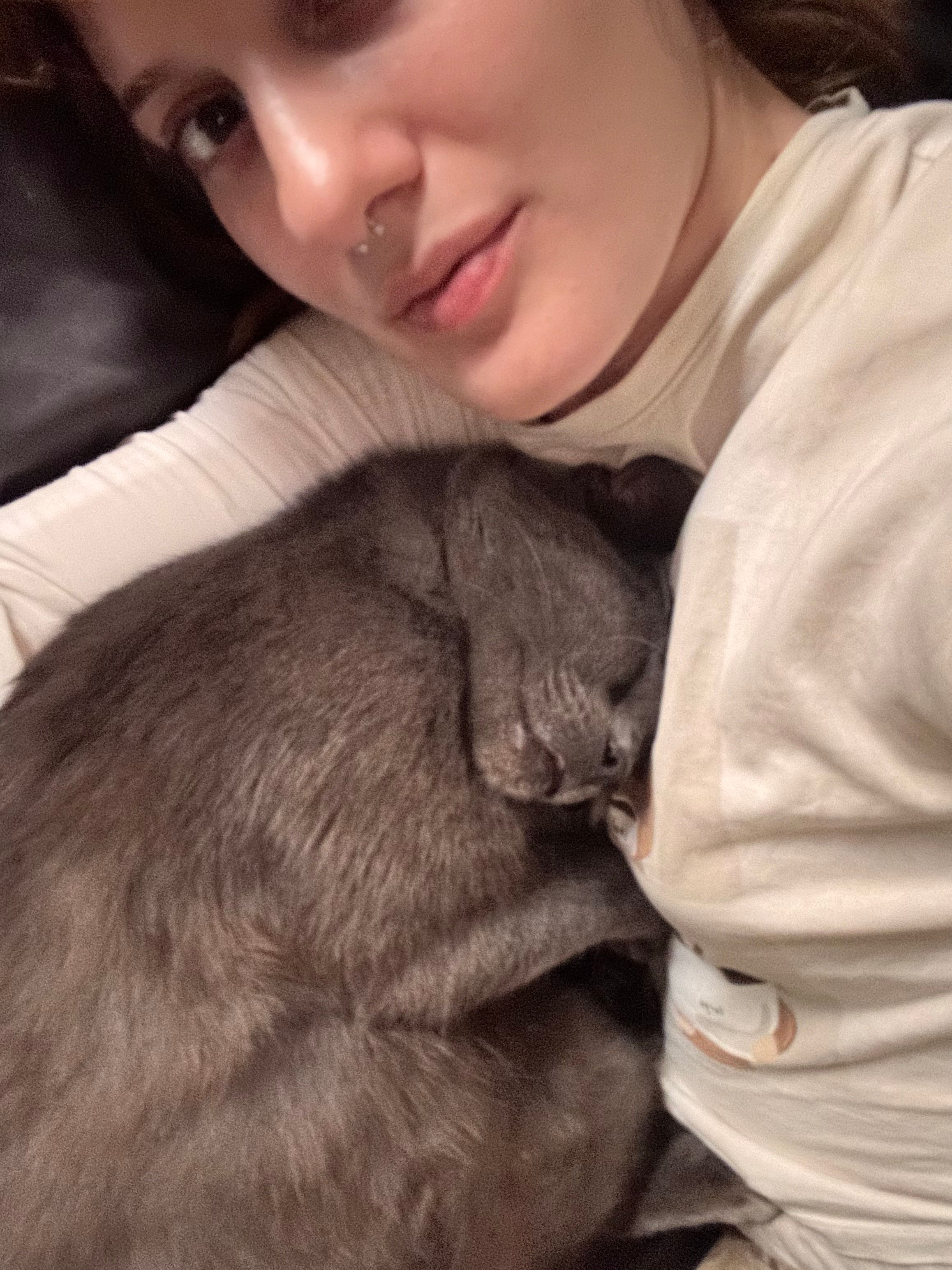 image-6