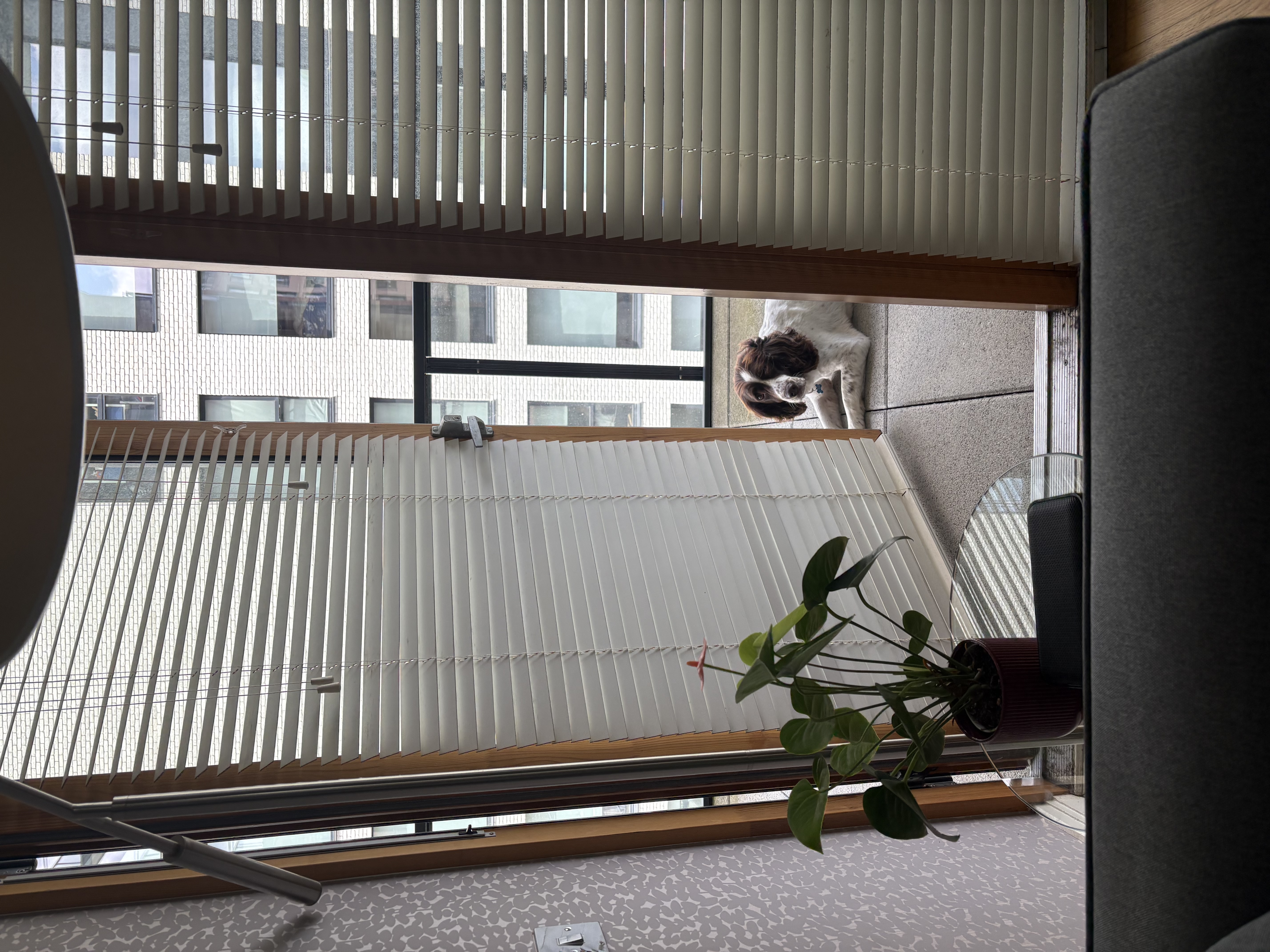 image-11
