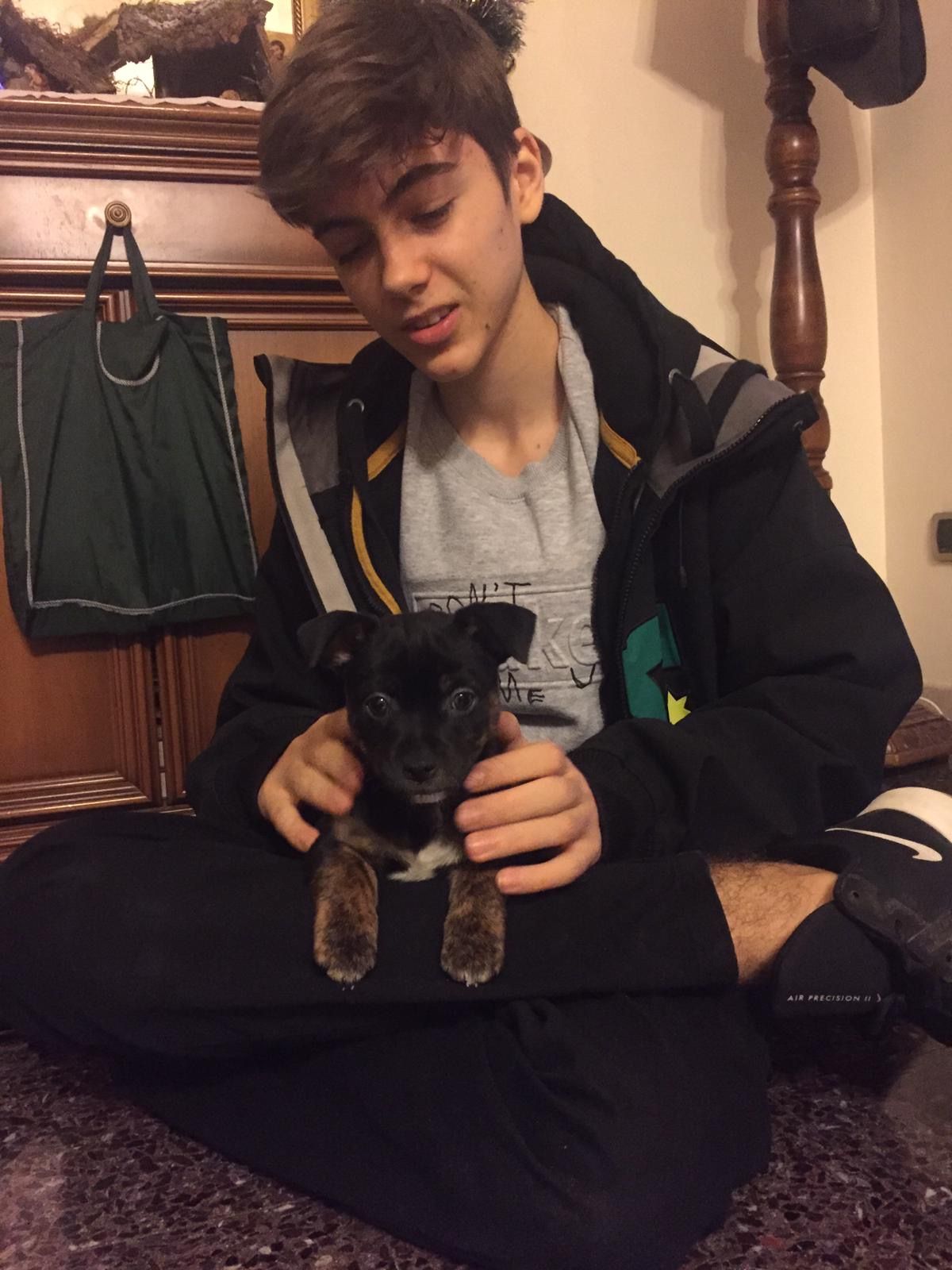 image-8