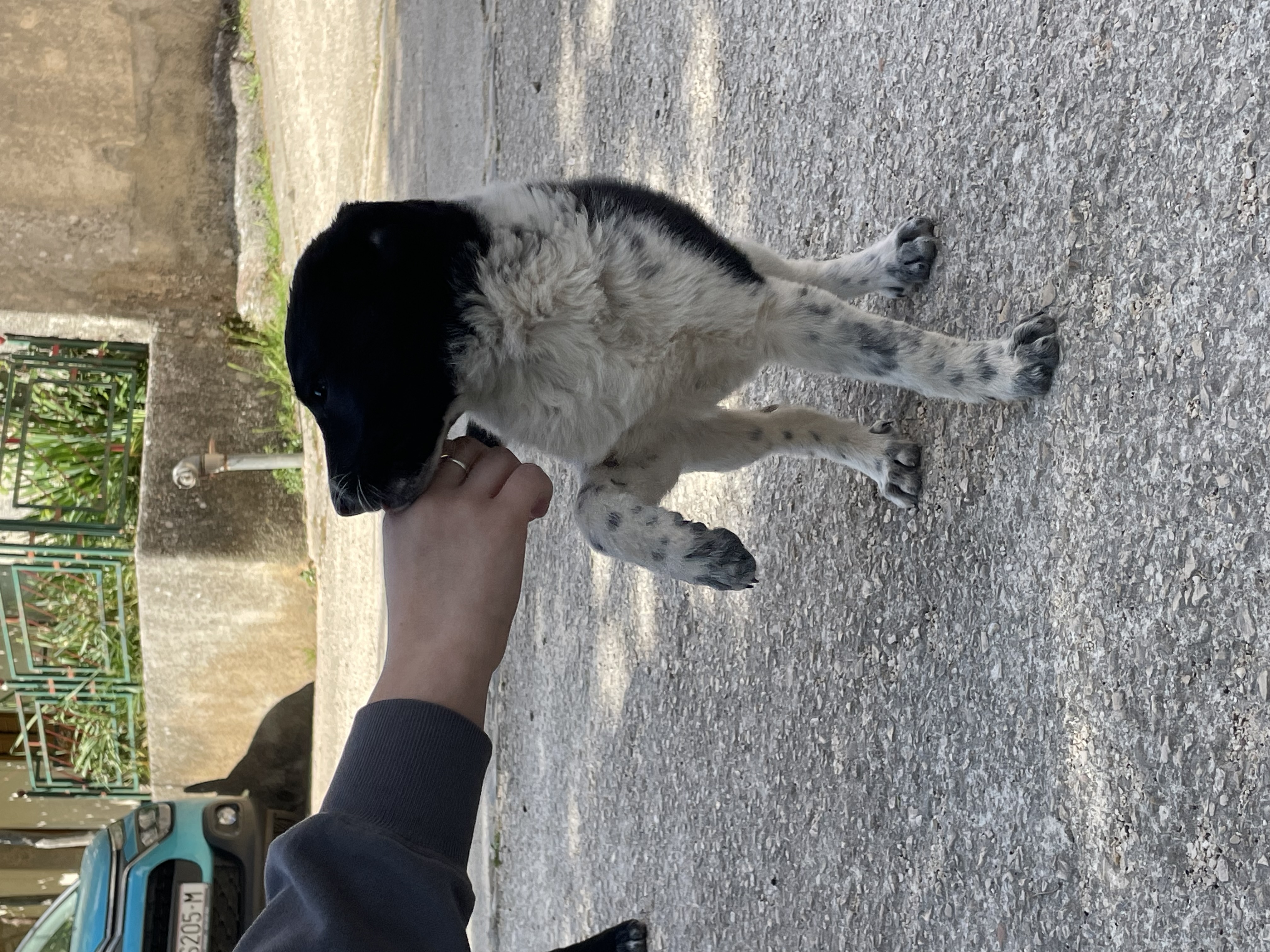 image-10