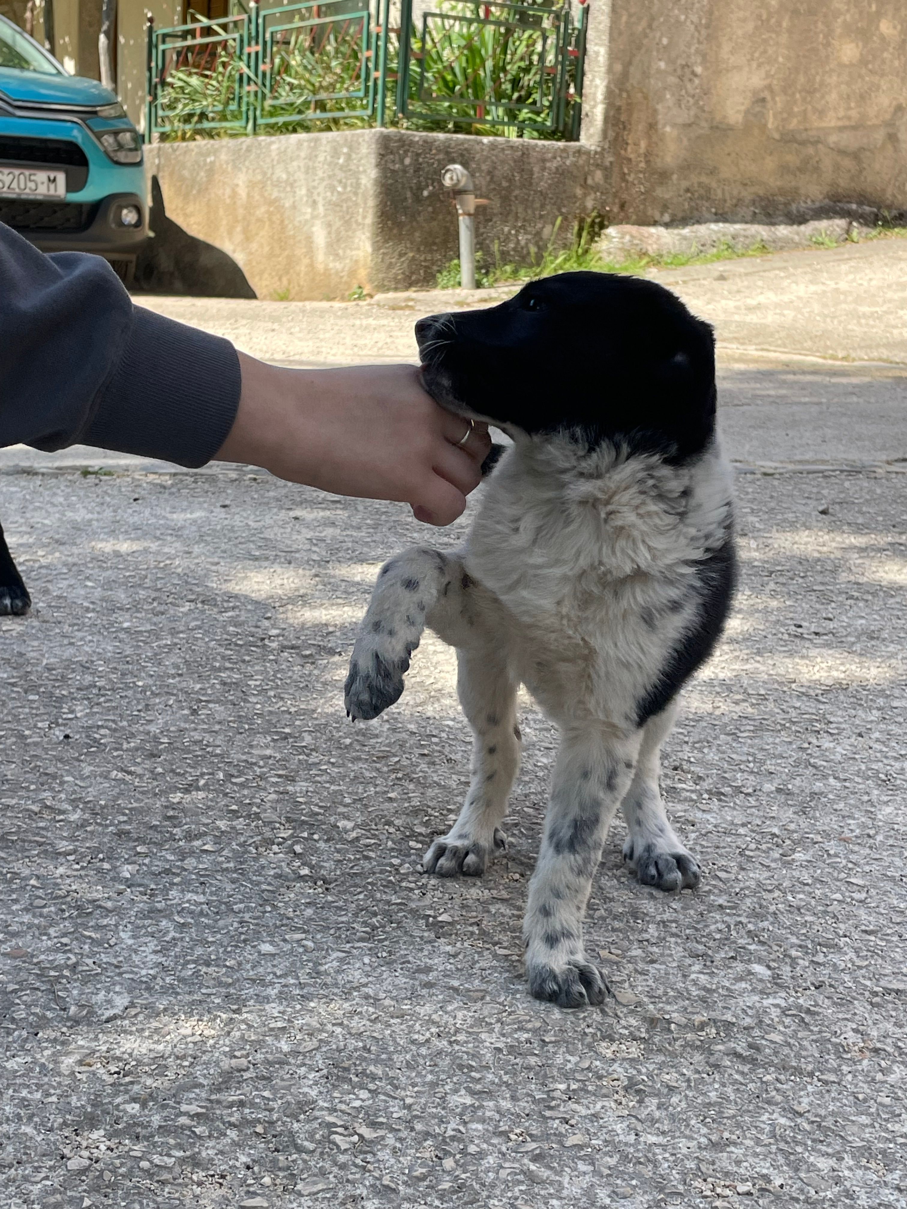 image-10