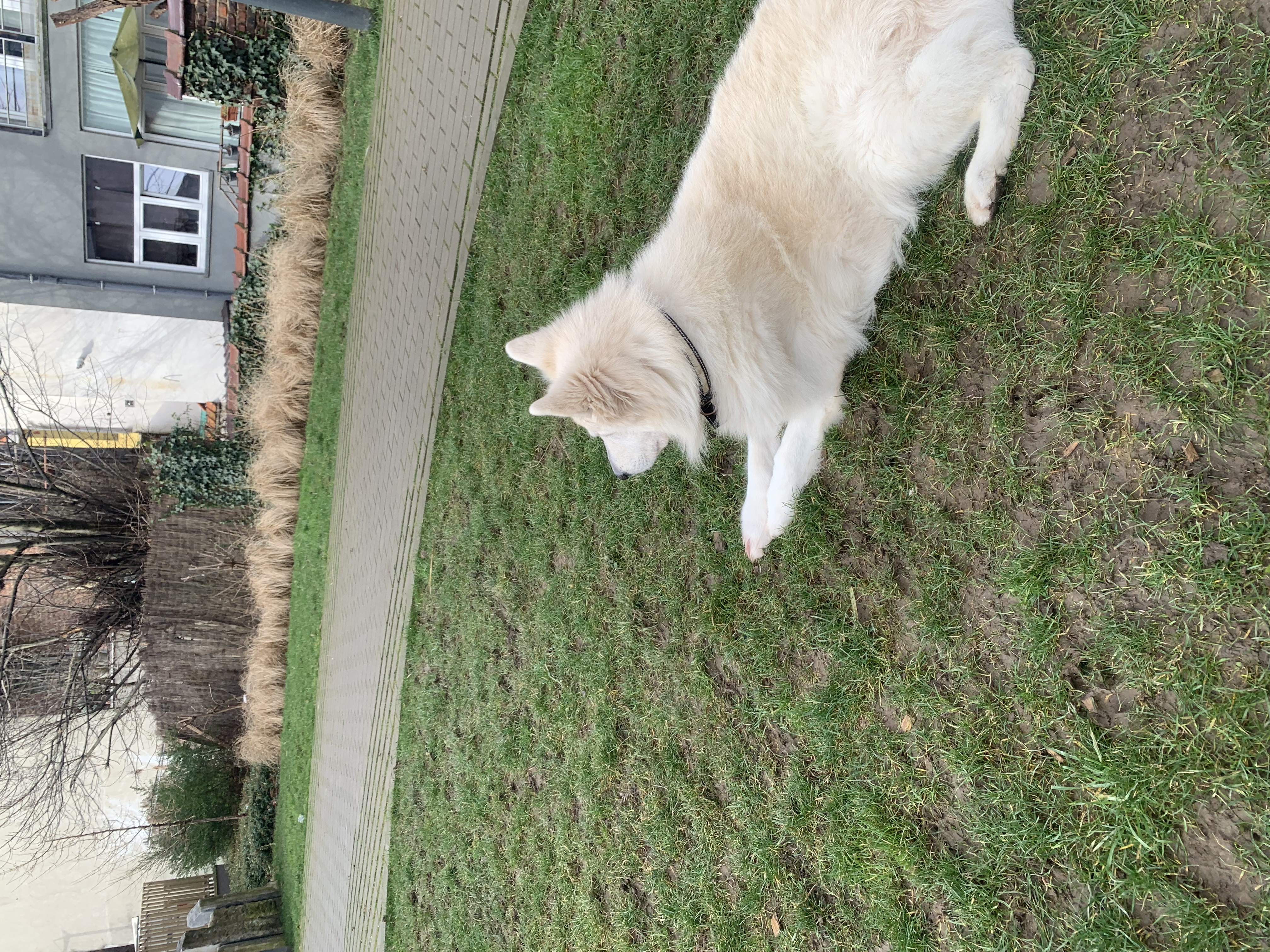 image-7
