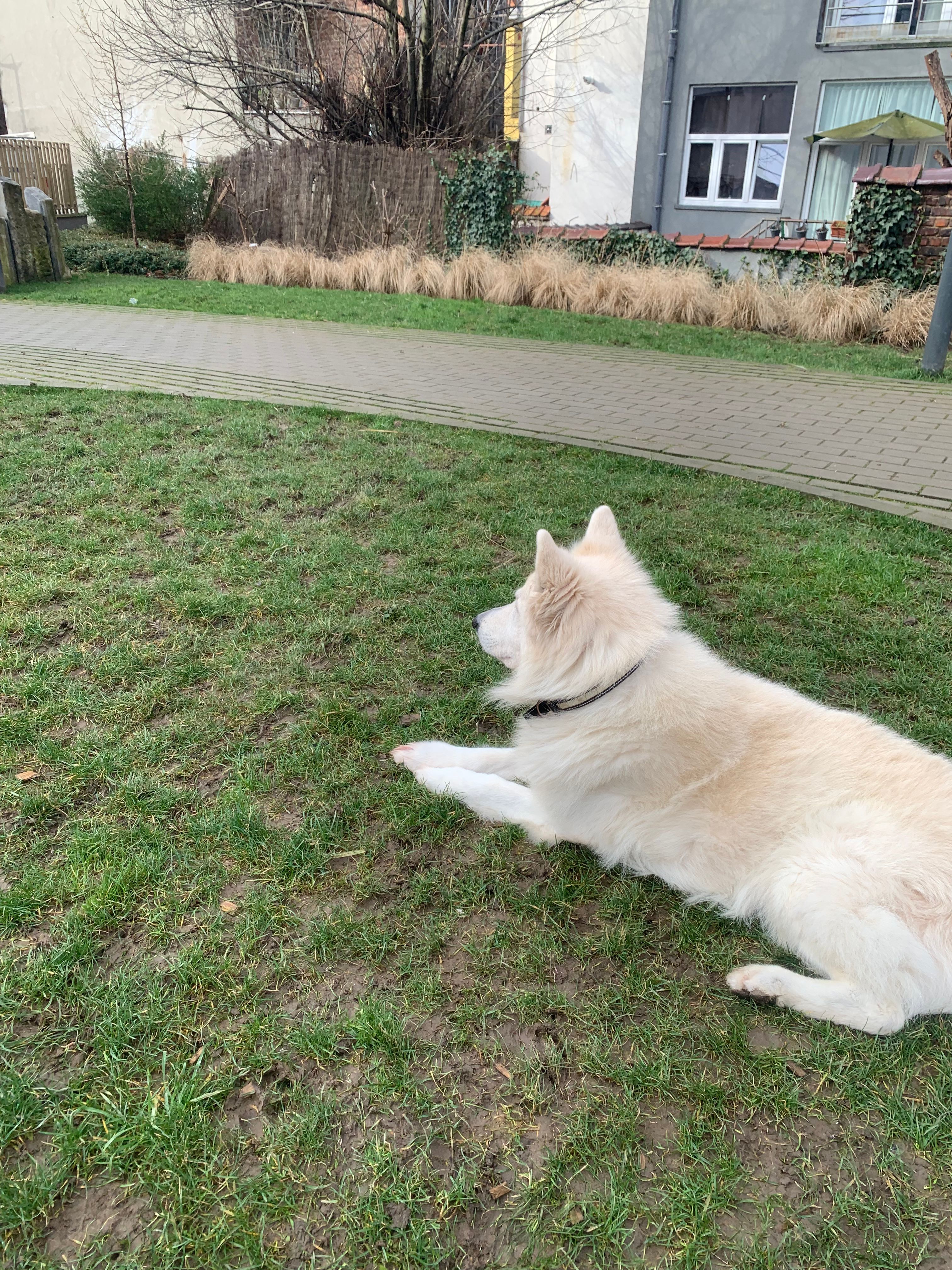image-7