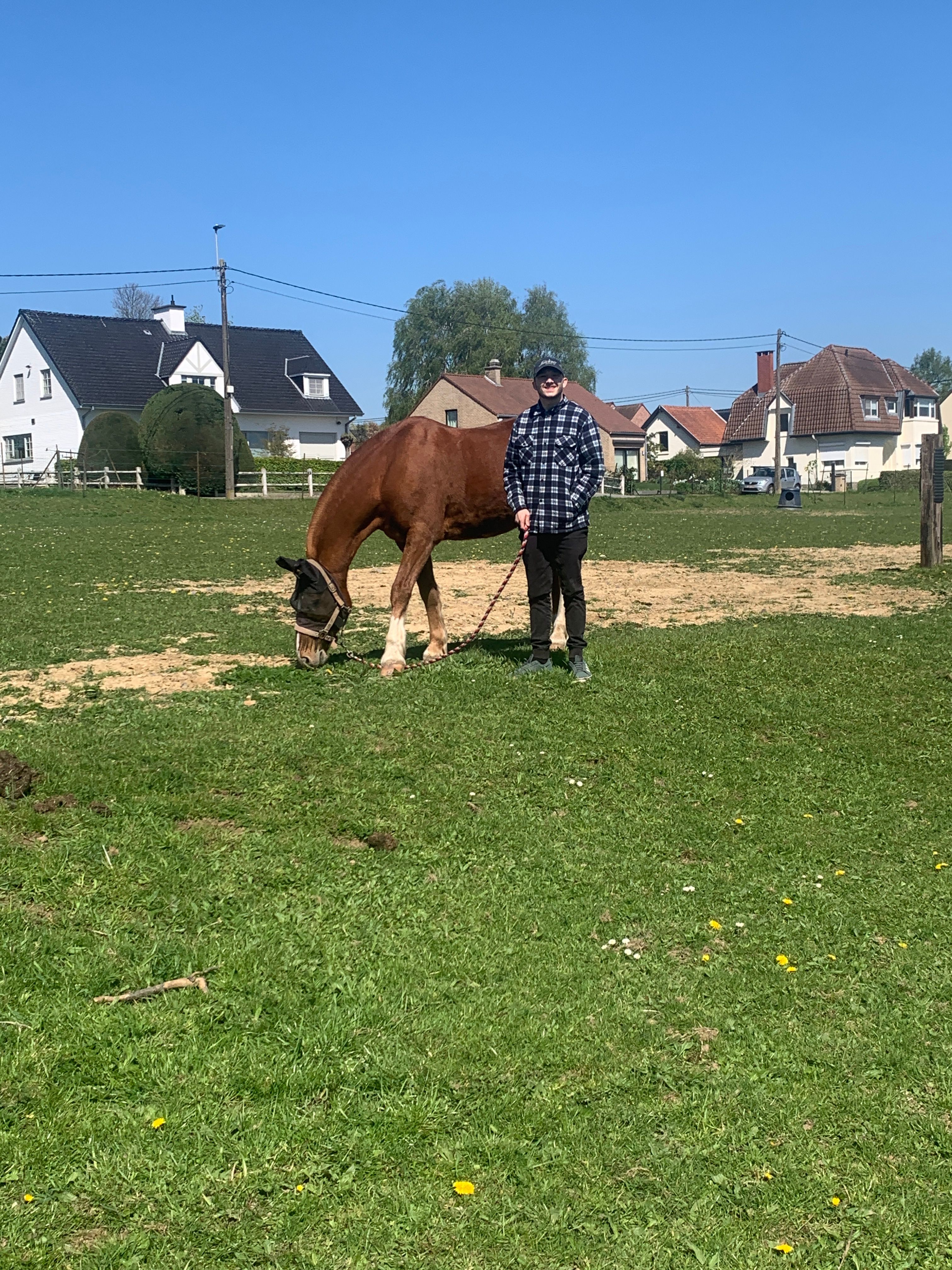 image-28