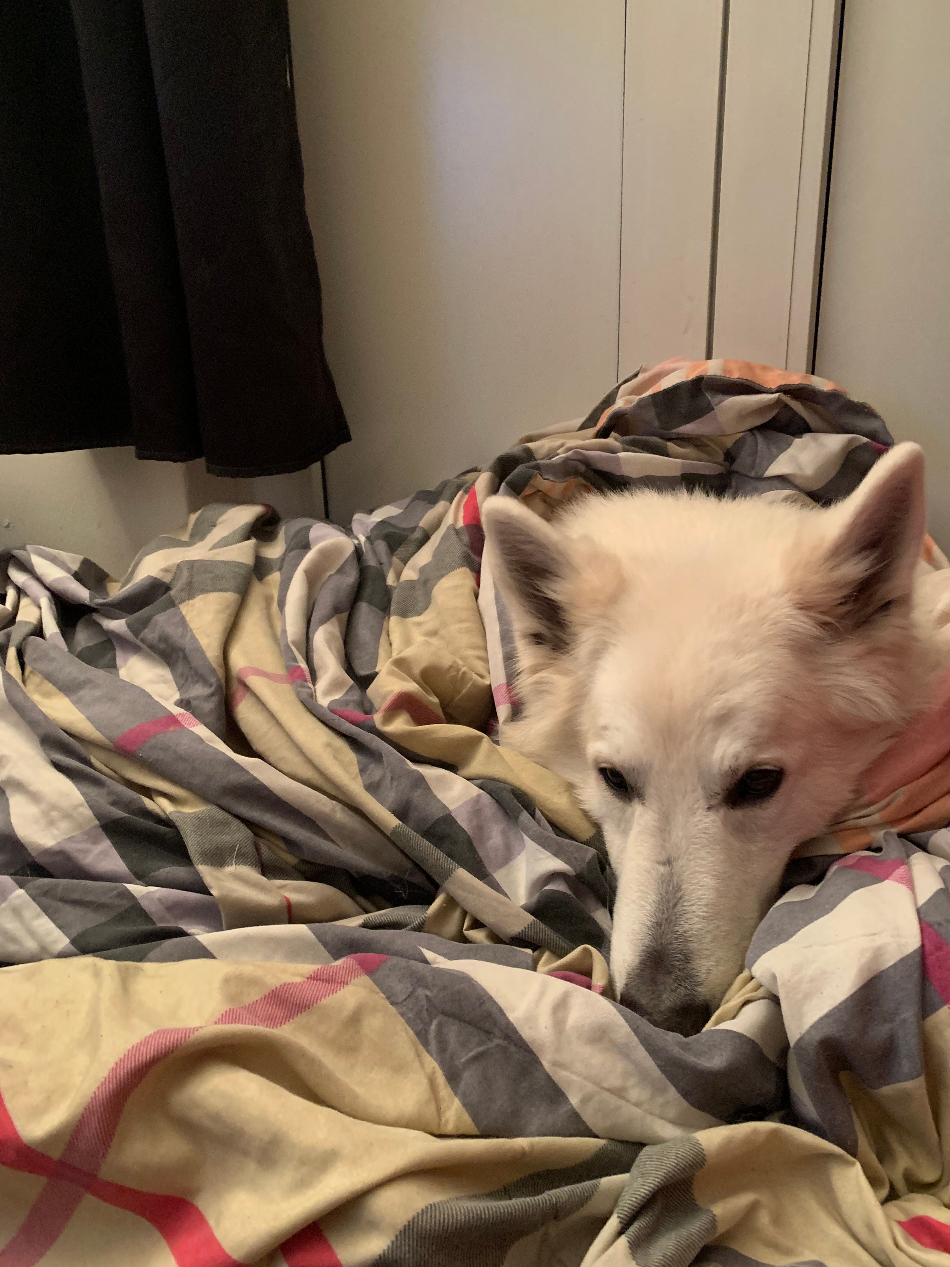 image-8