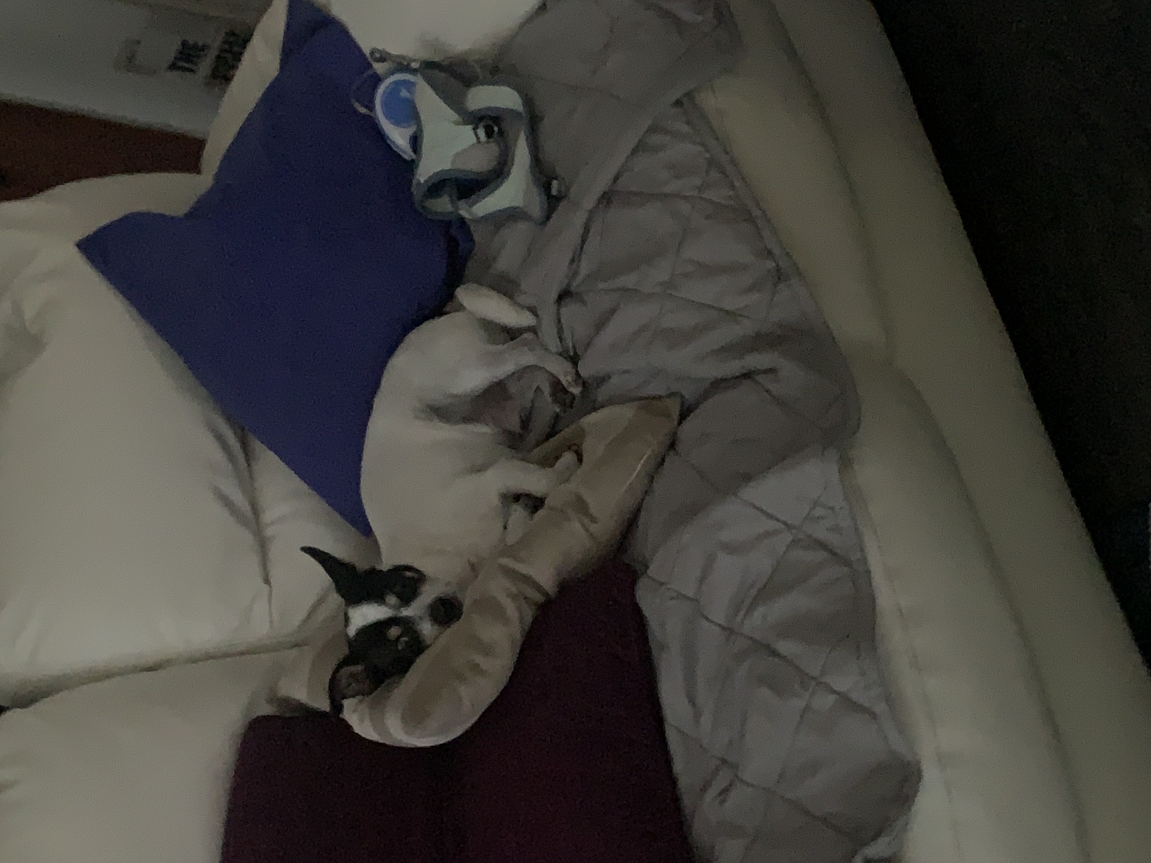 image-14