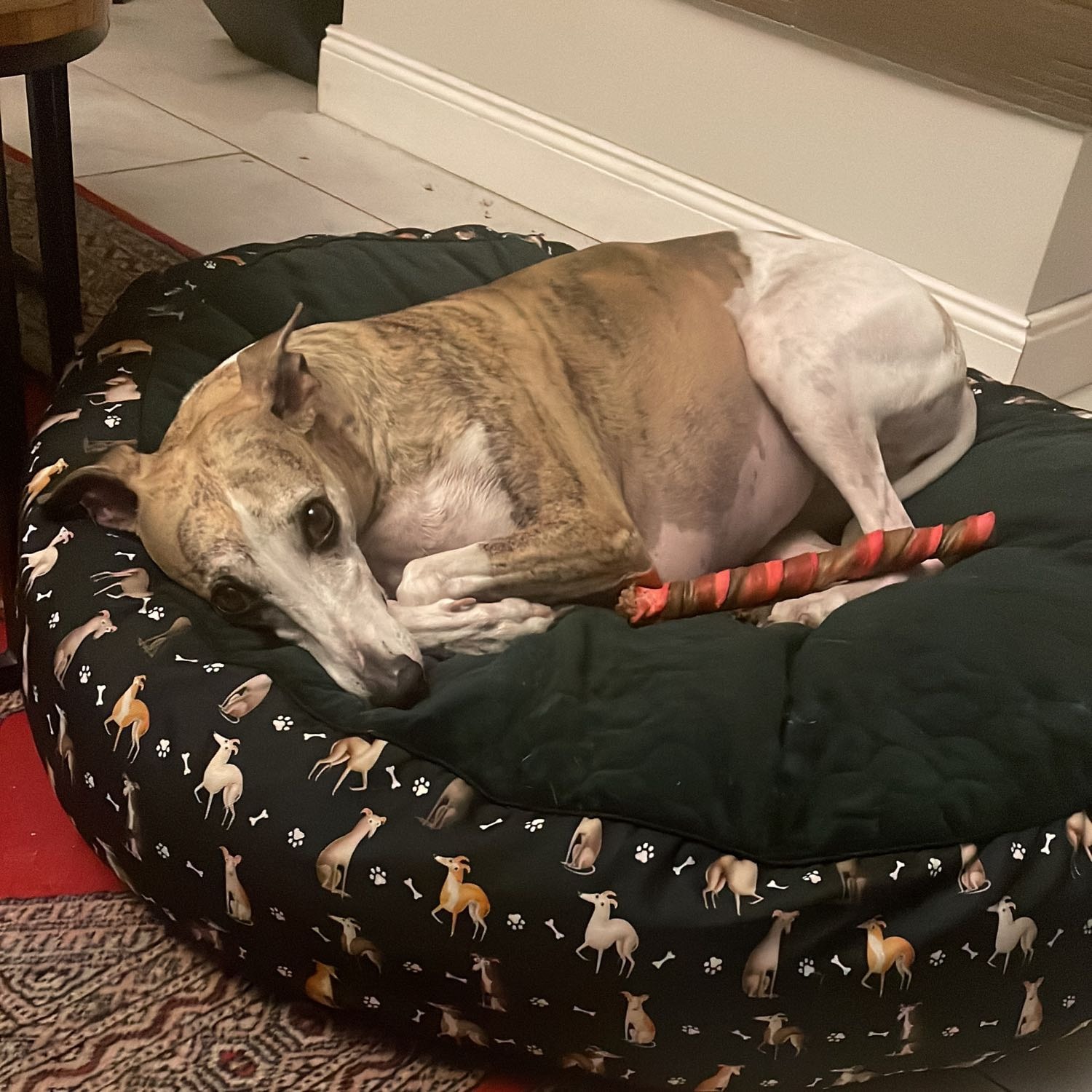 Fiona 