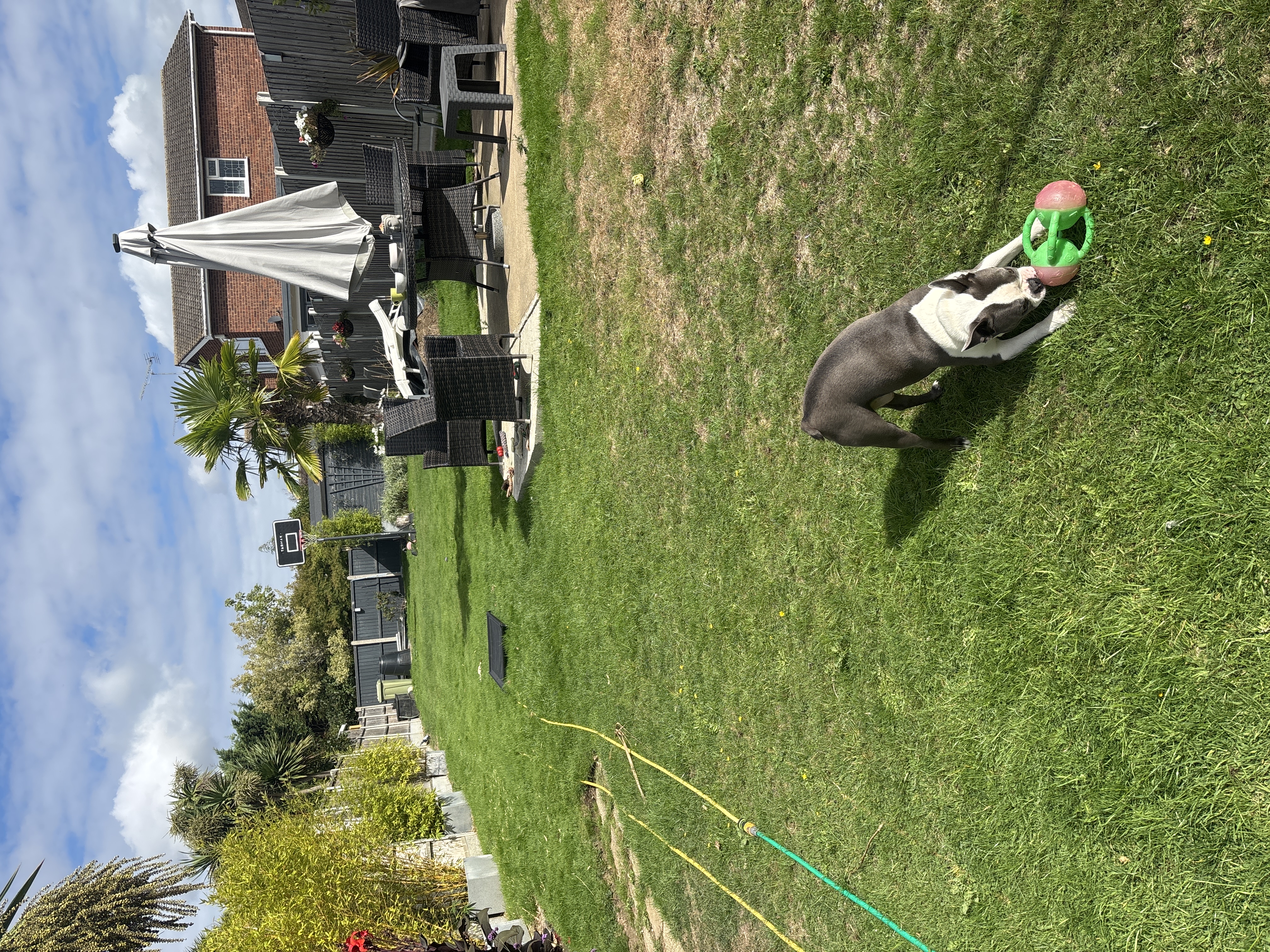 image-13