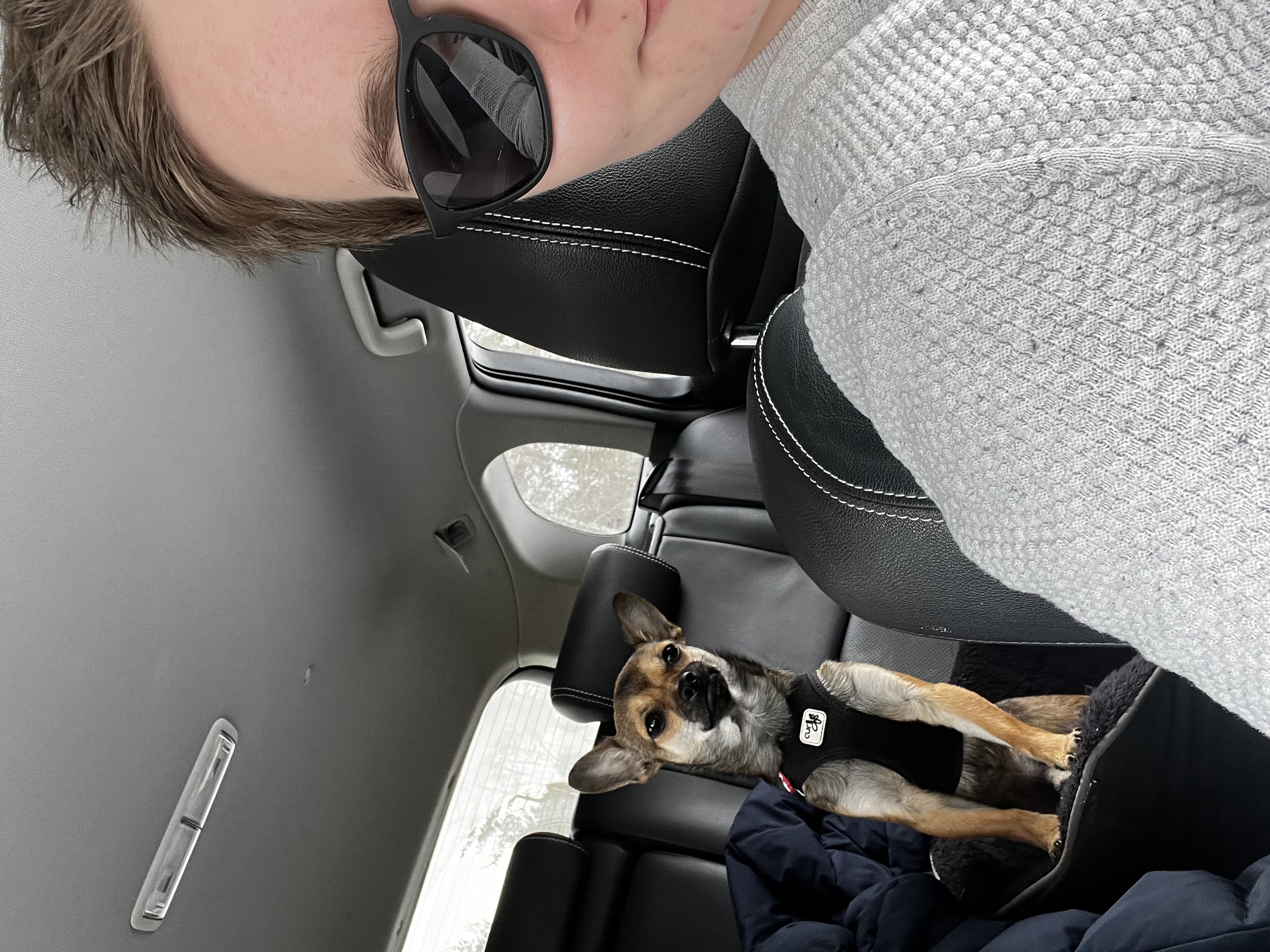 image-6