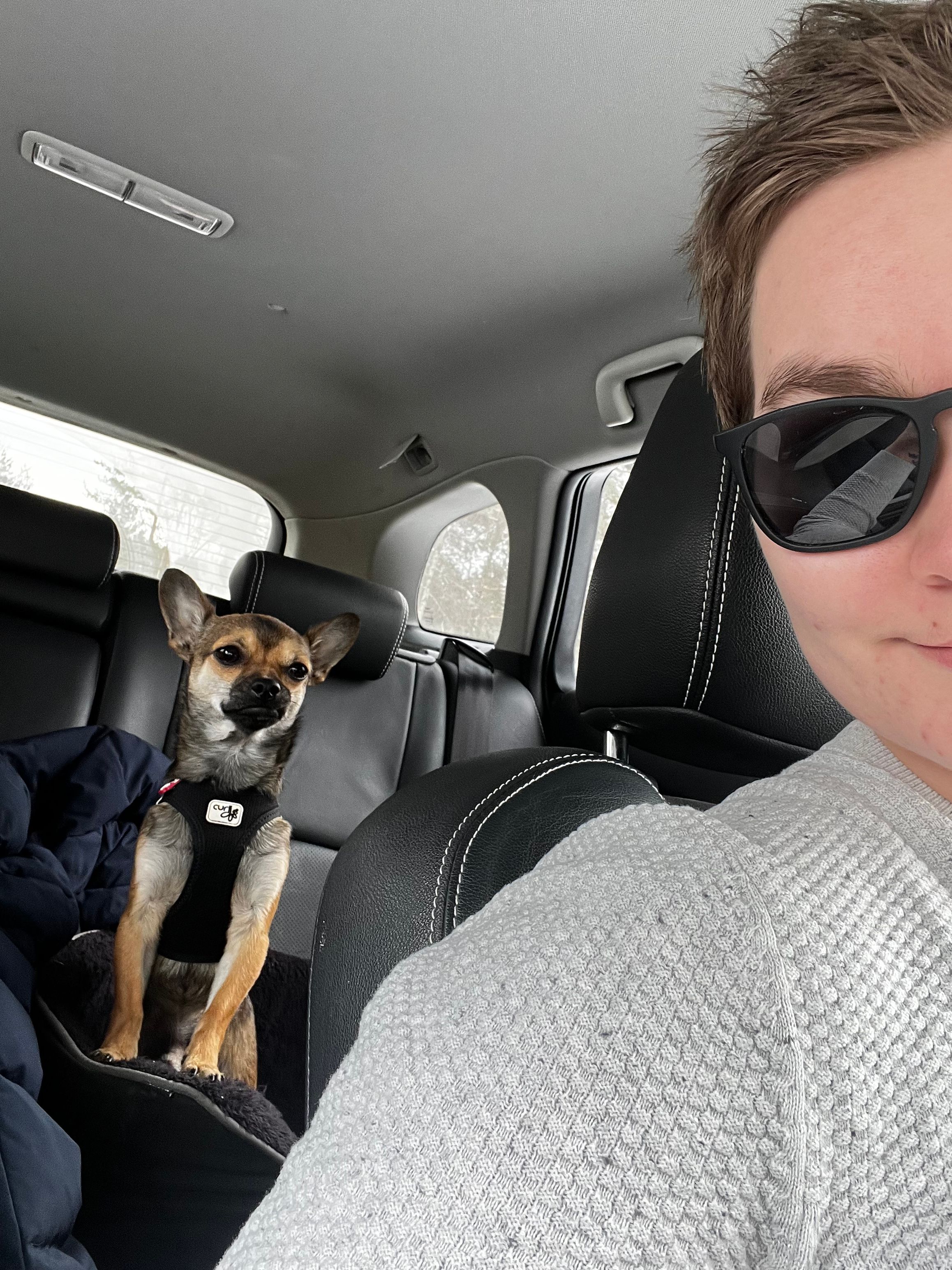 image-6