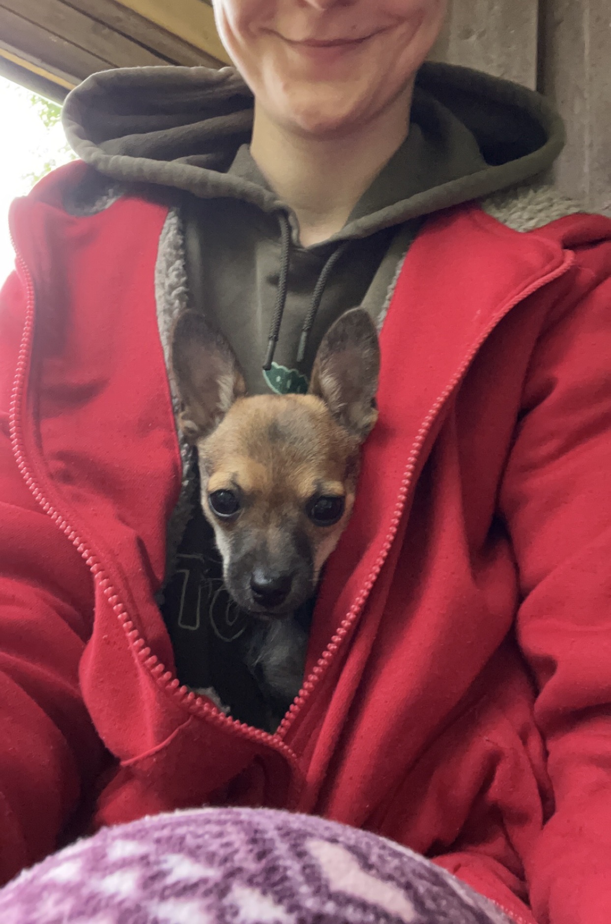 image-5