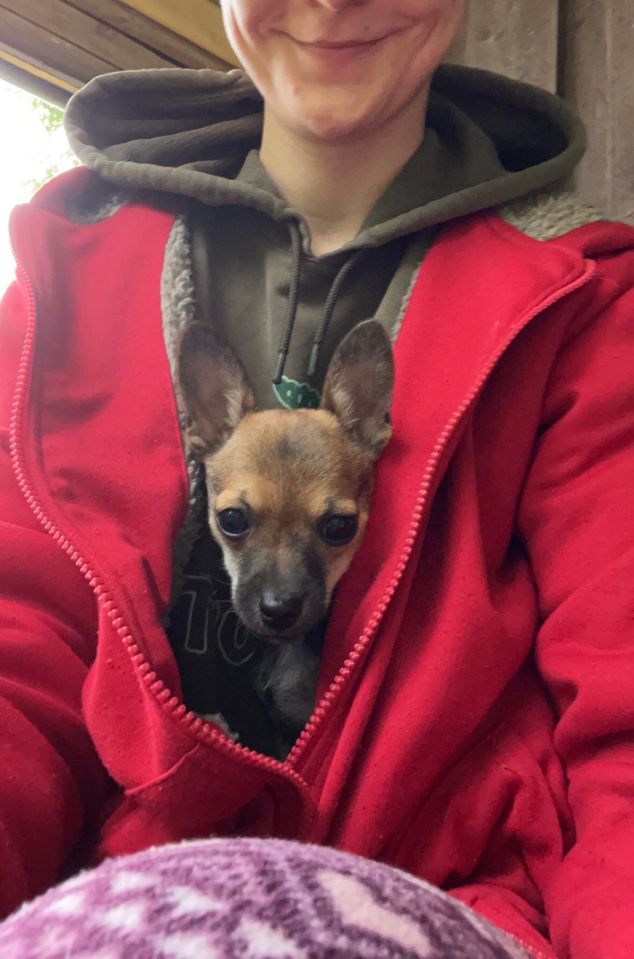 image-5