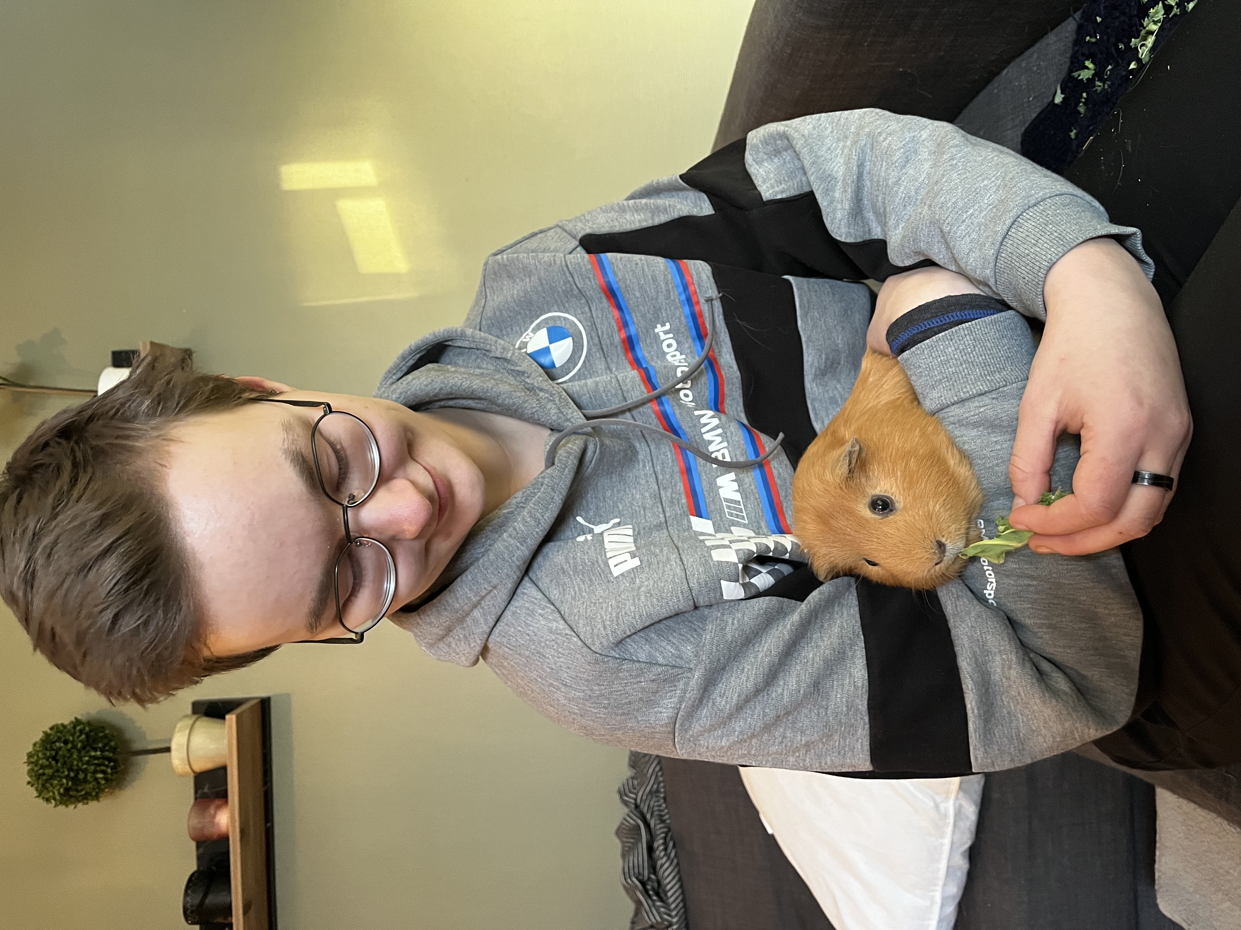 image-8