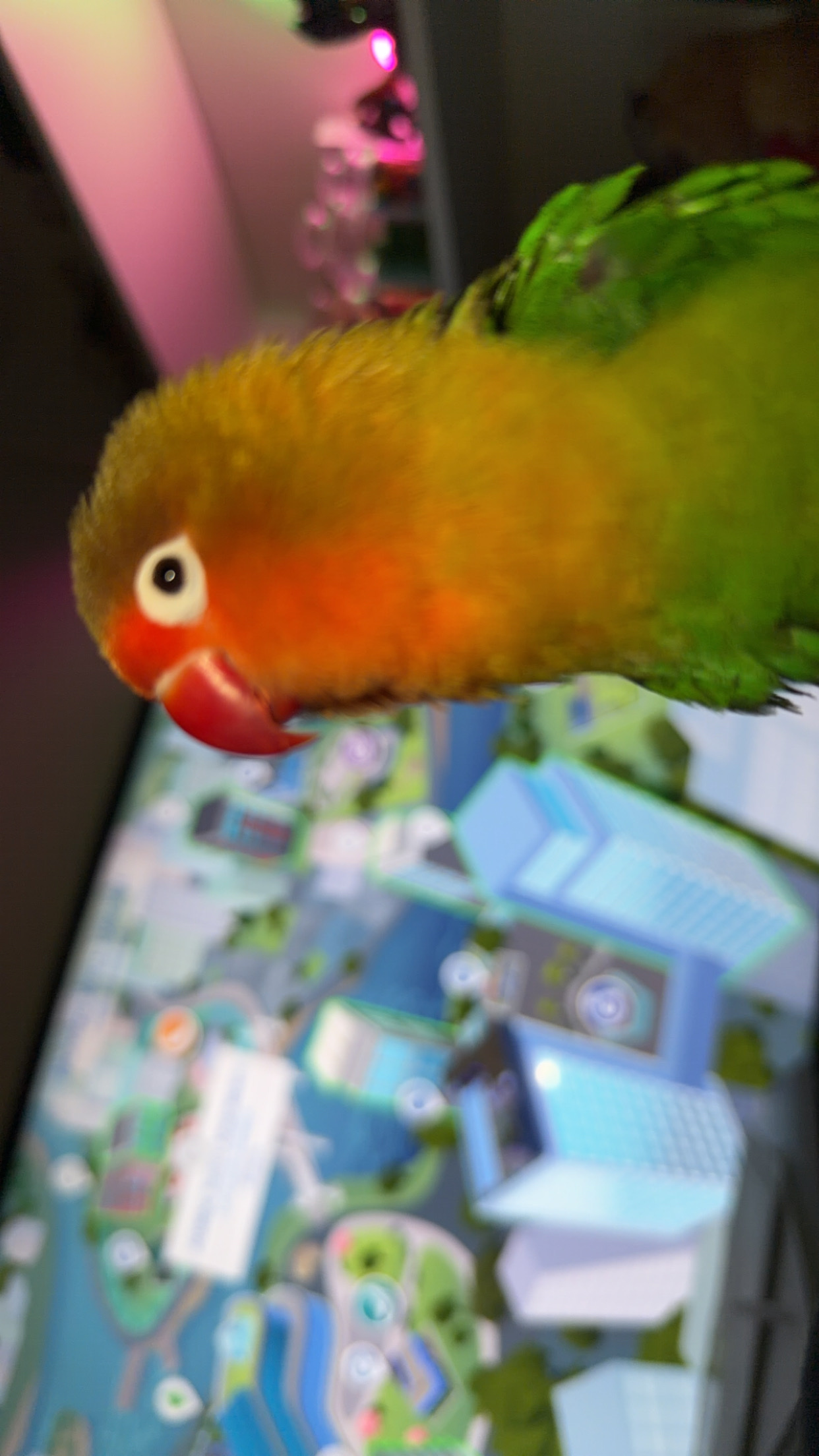 image-6