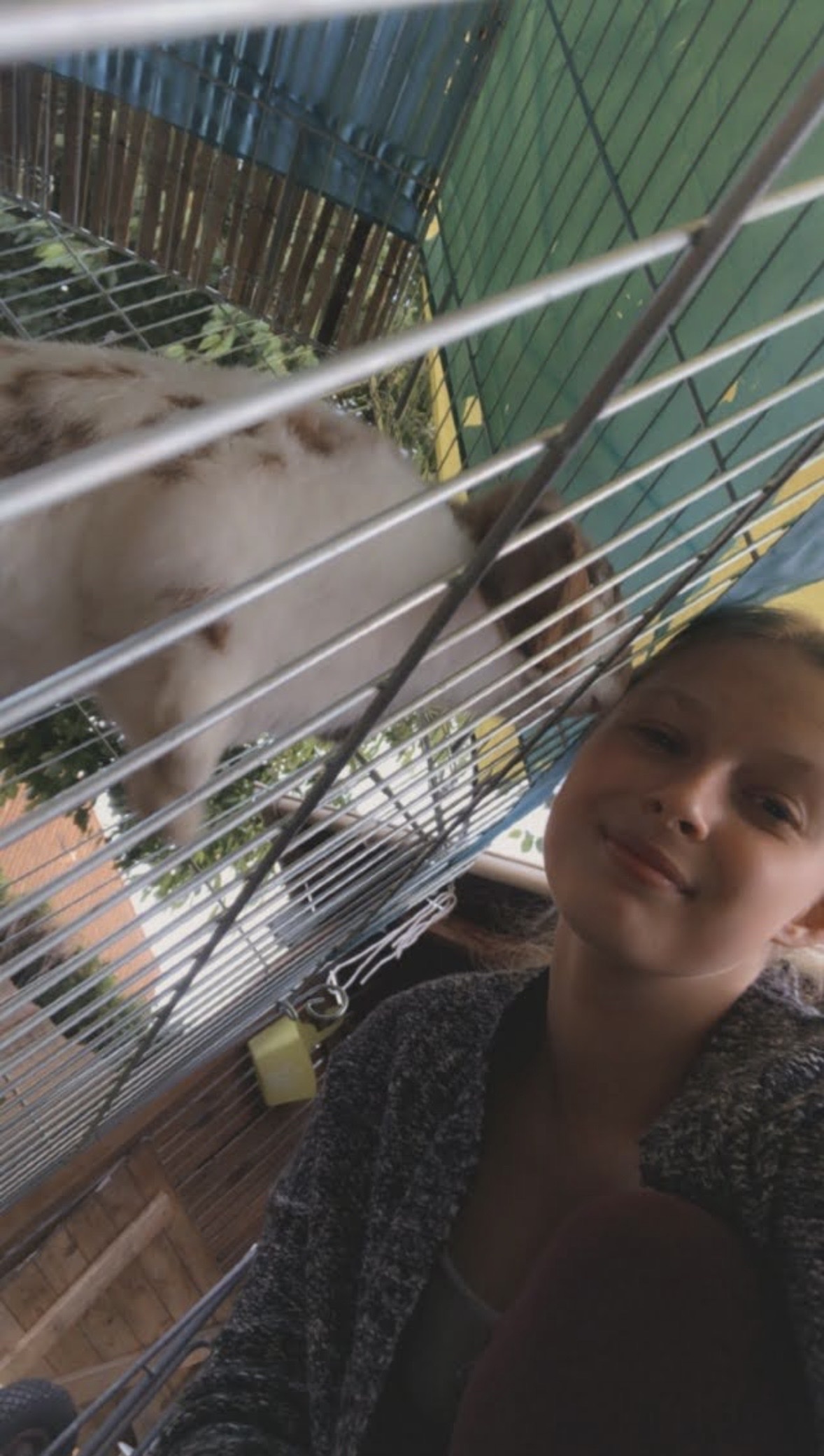 image-8
