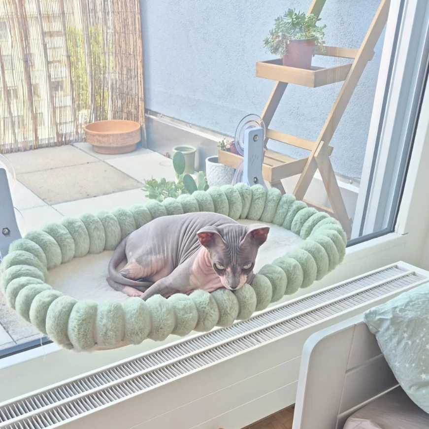 Fiona