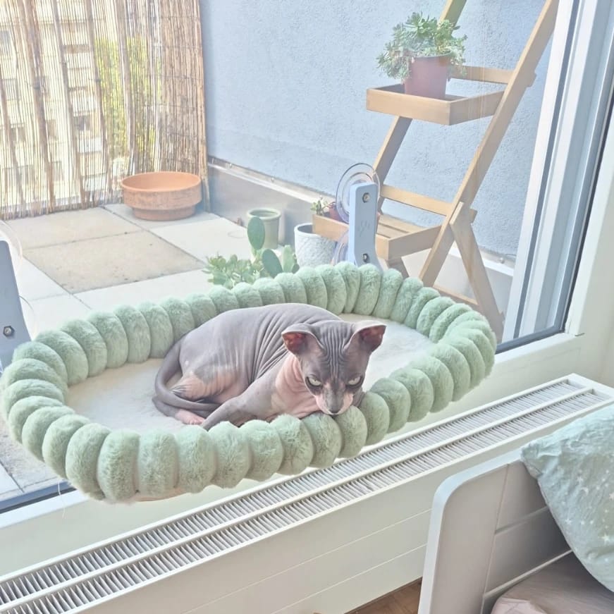 Fiona