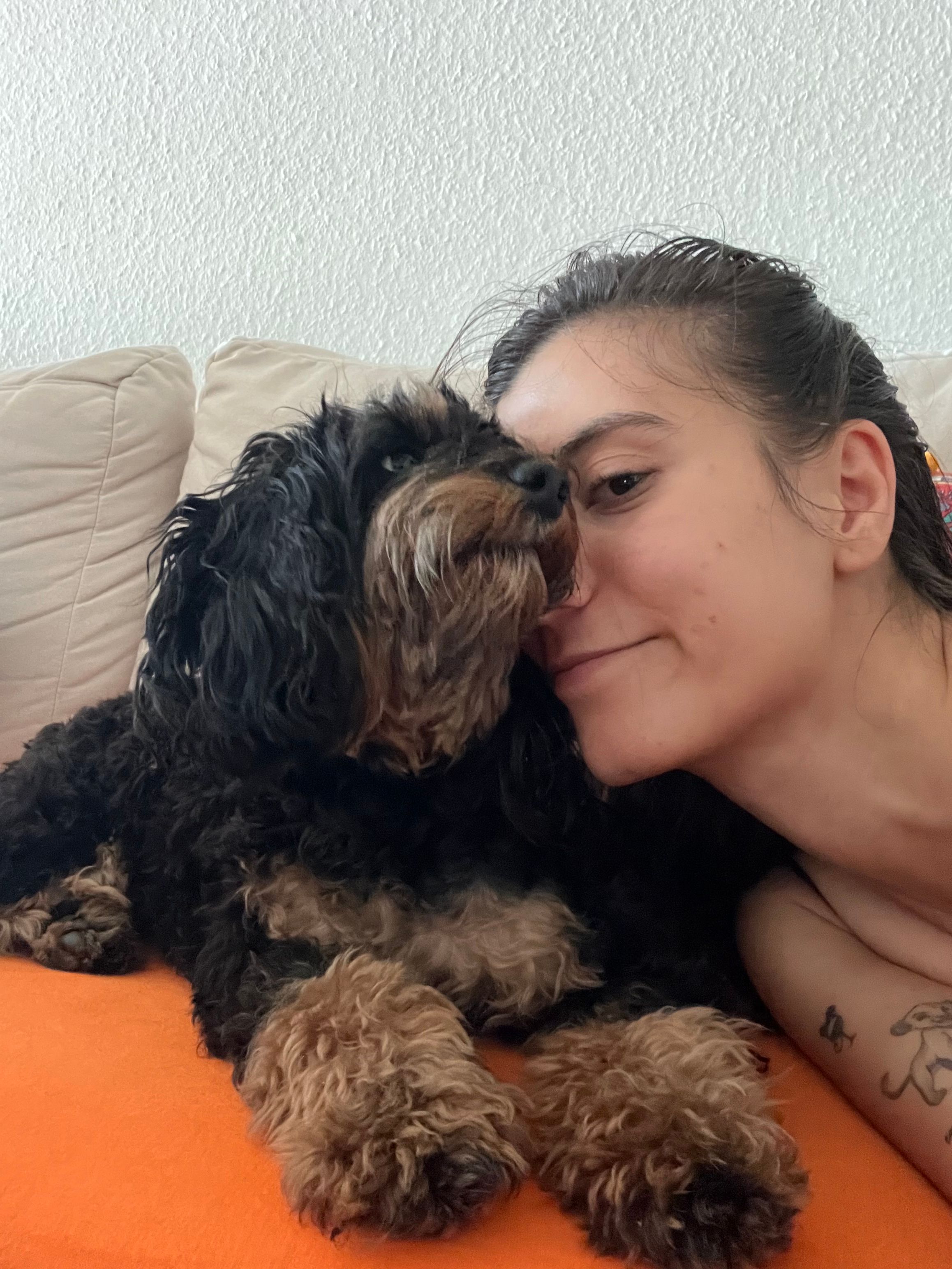 image-2