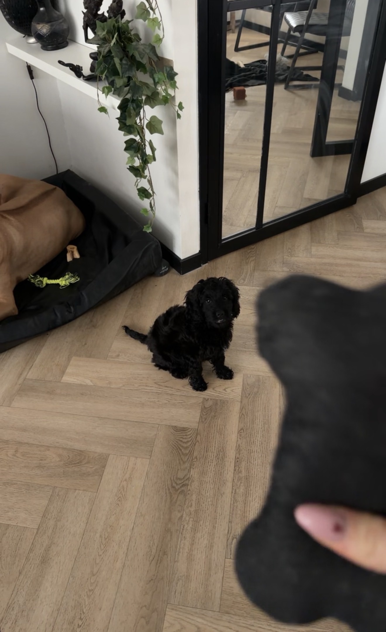 image-18