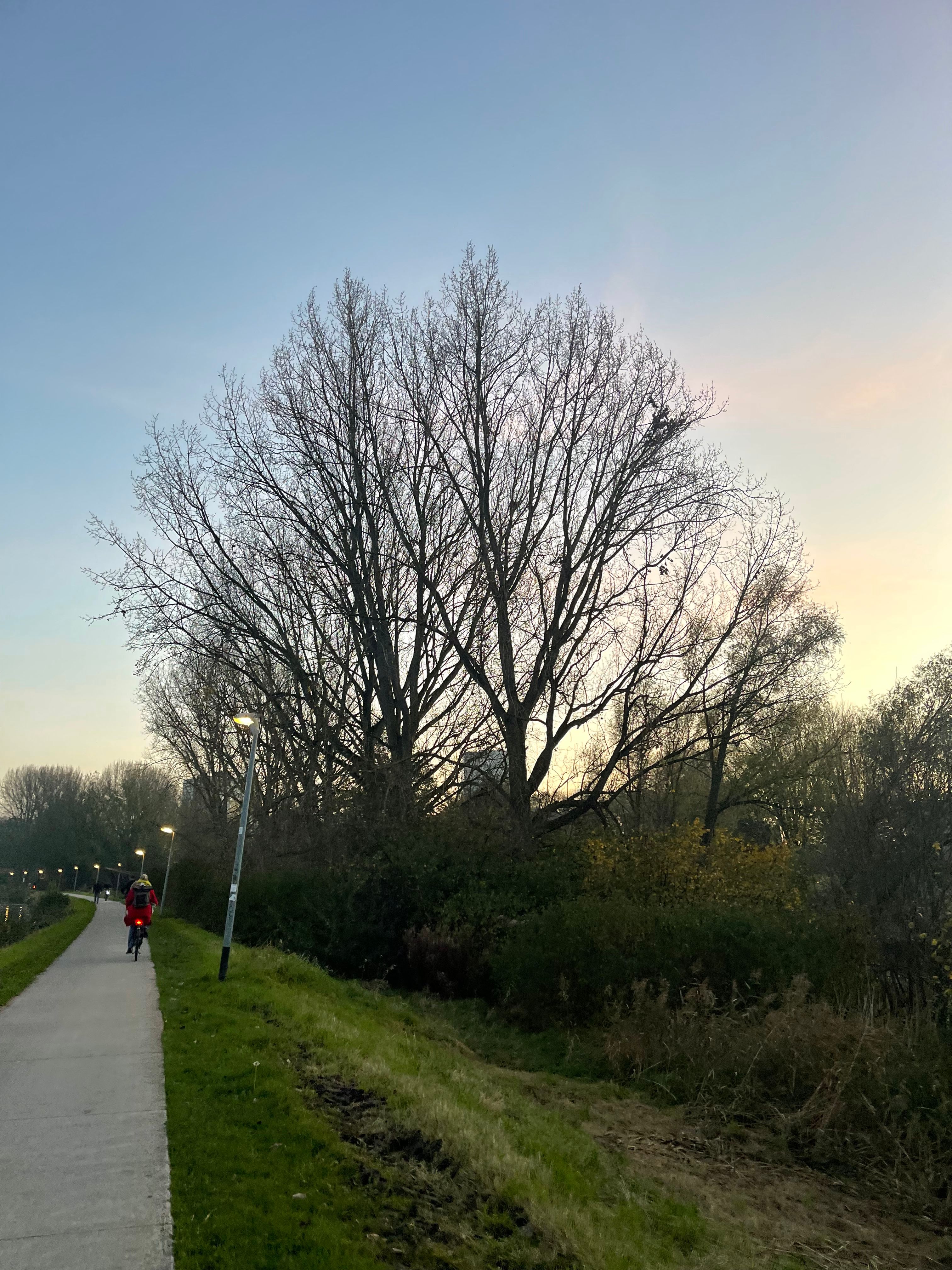image-15