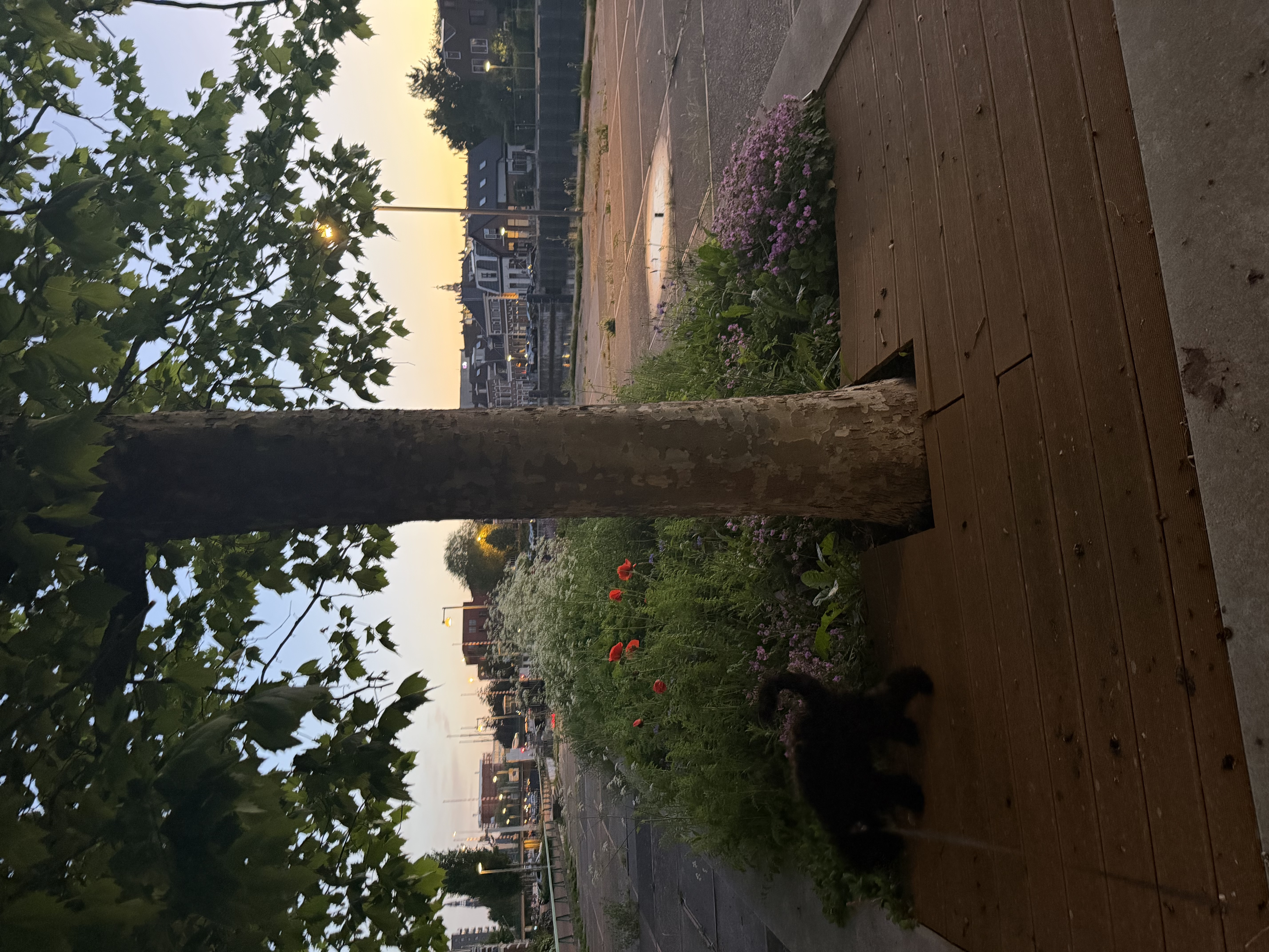 image-17