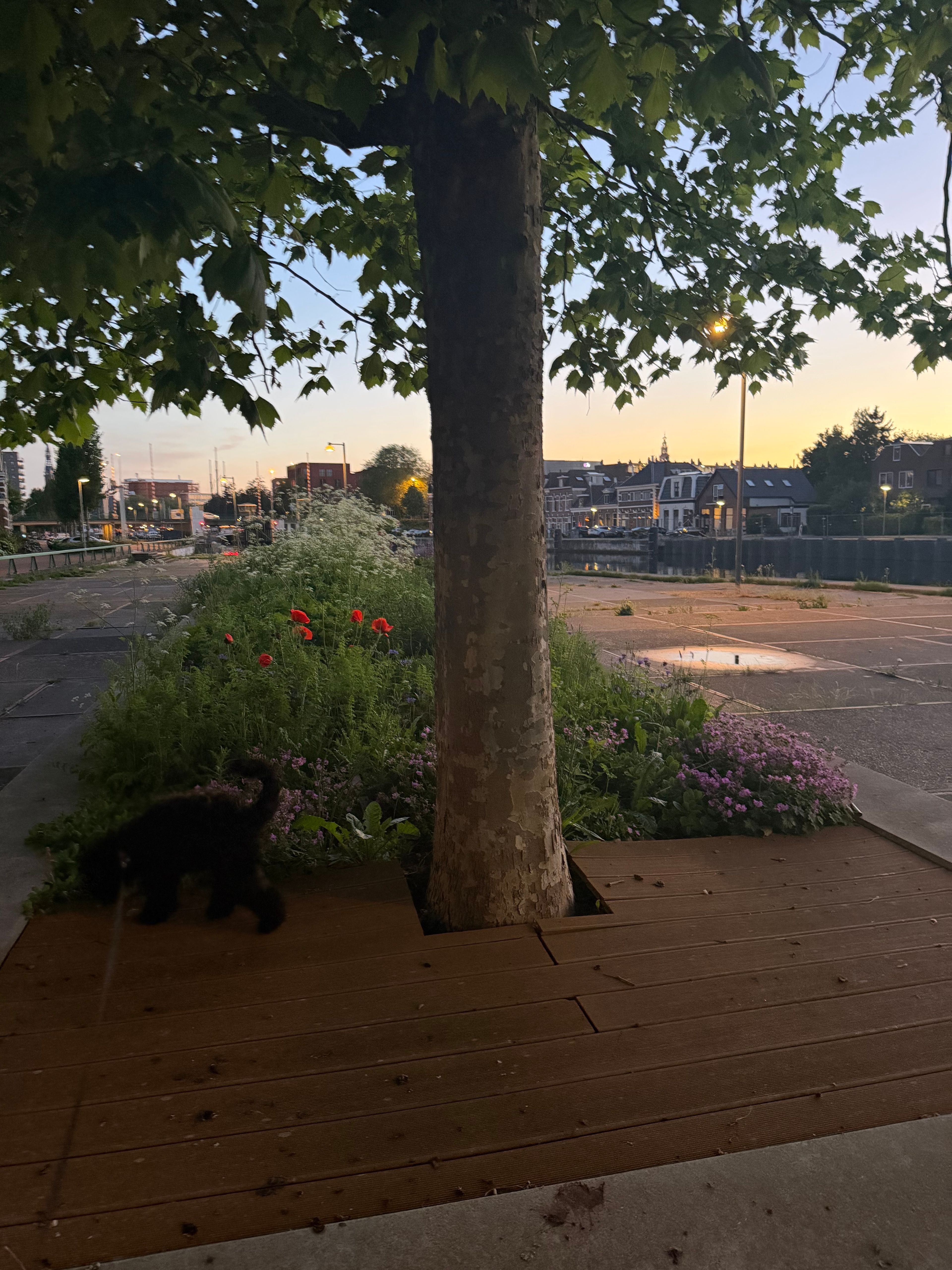image-17