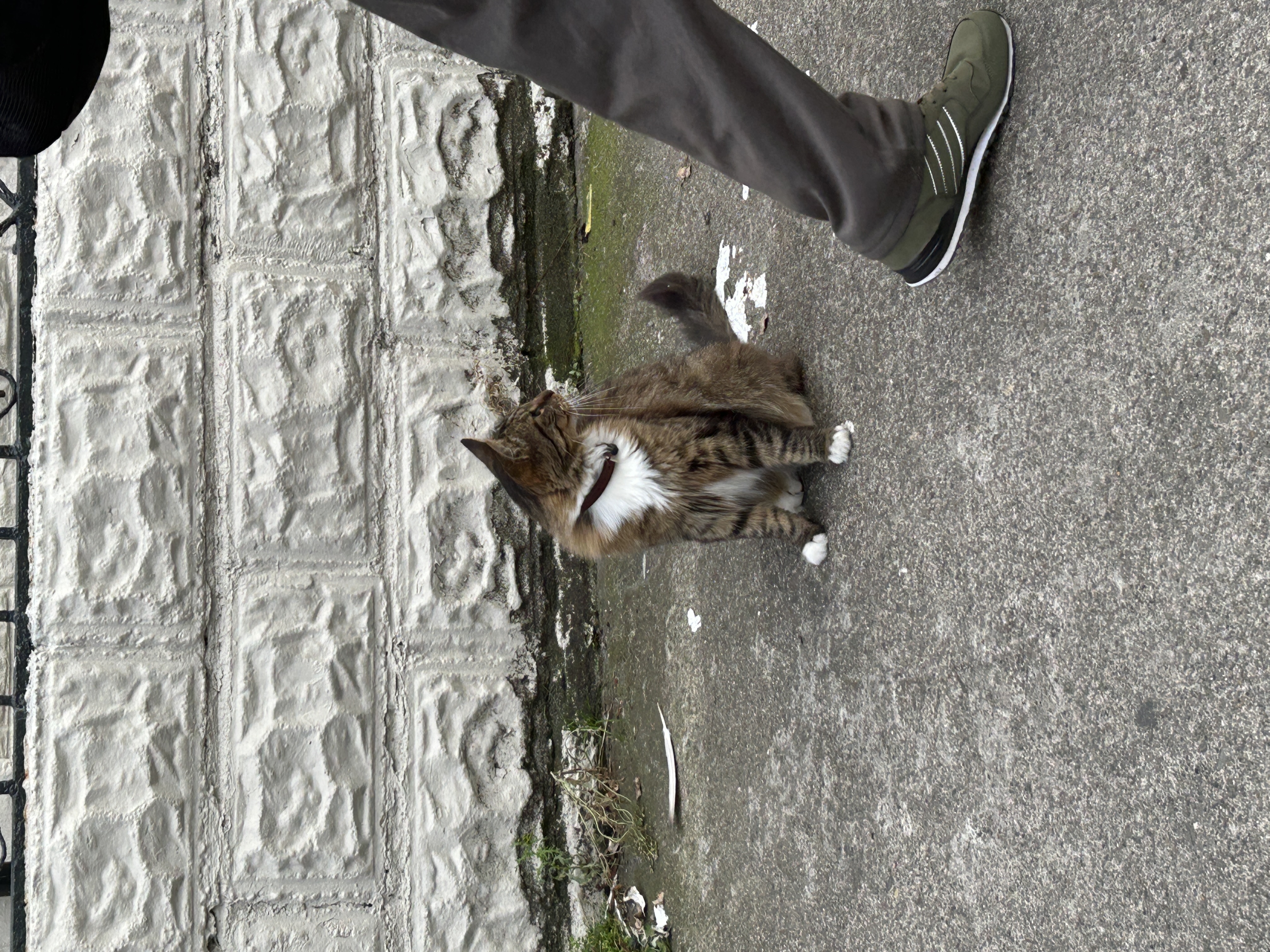 image-7