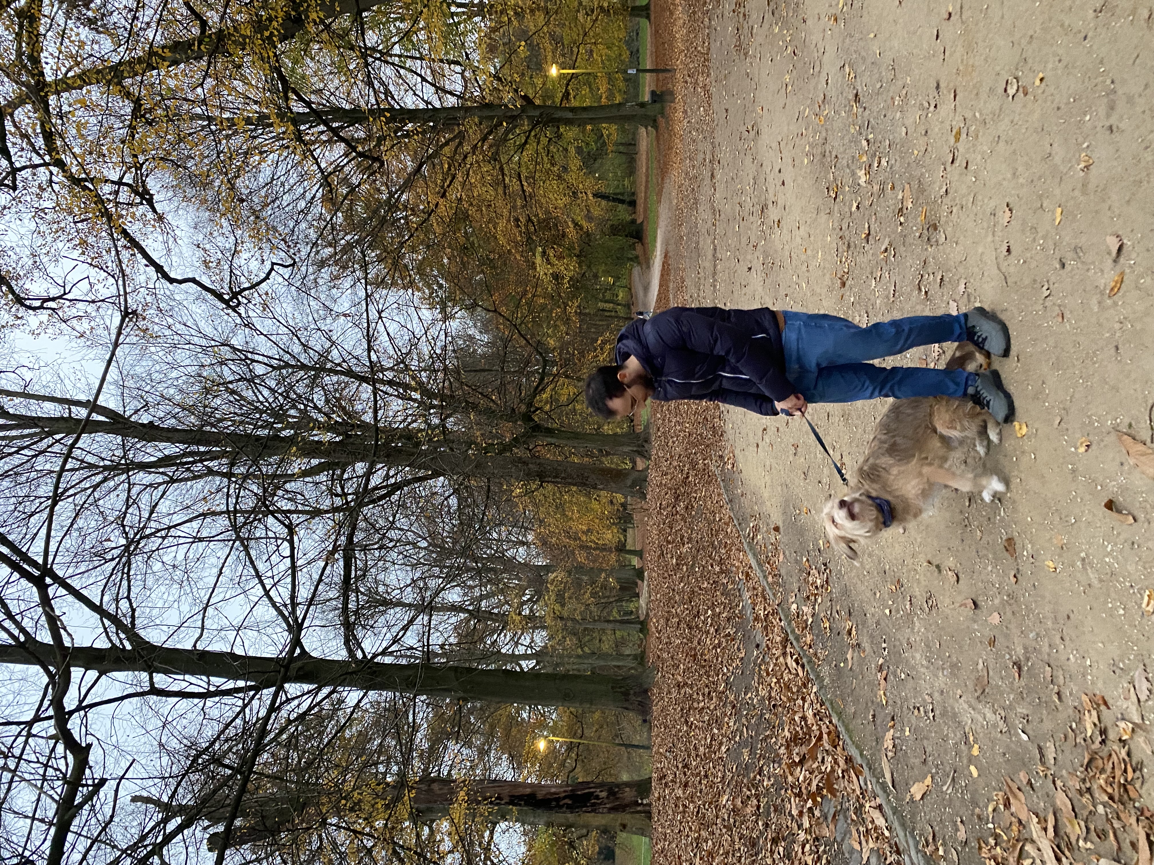 image-14