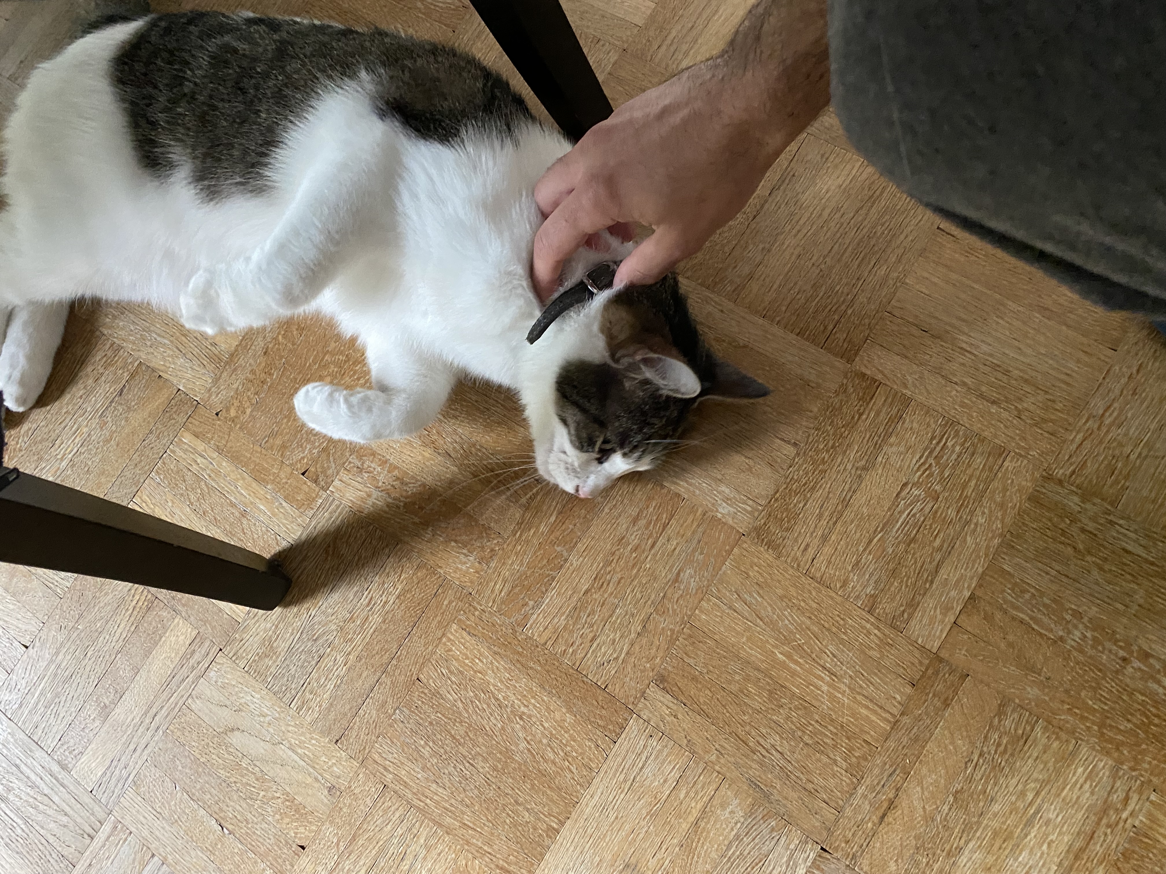 image-18