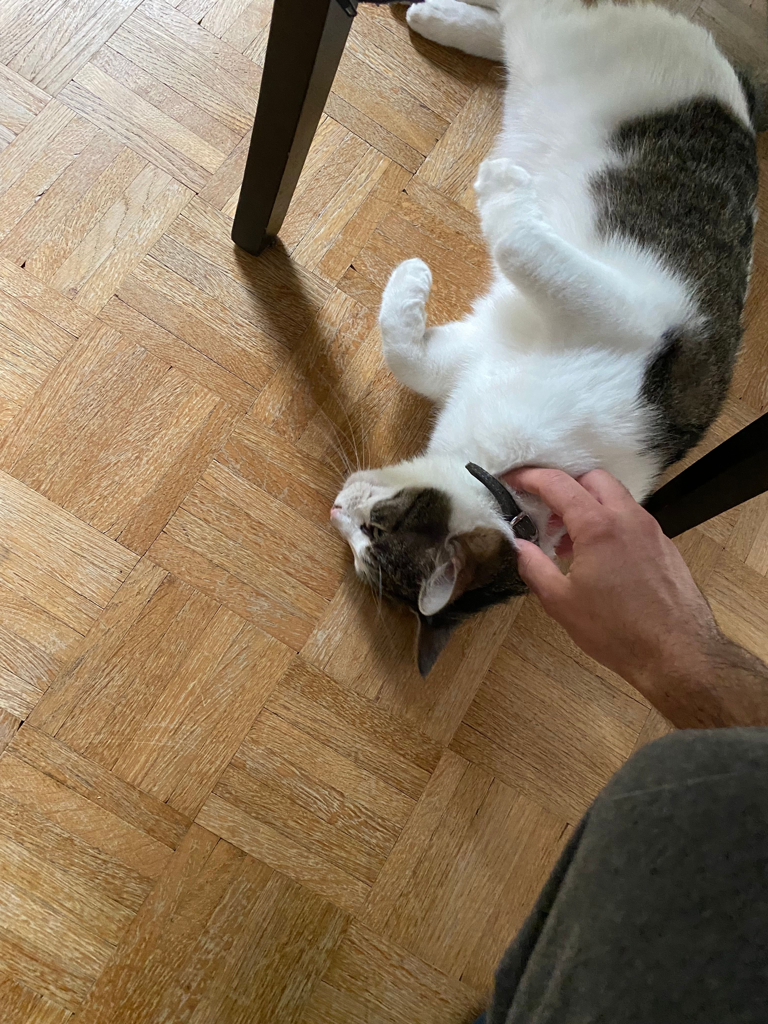 image-18
